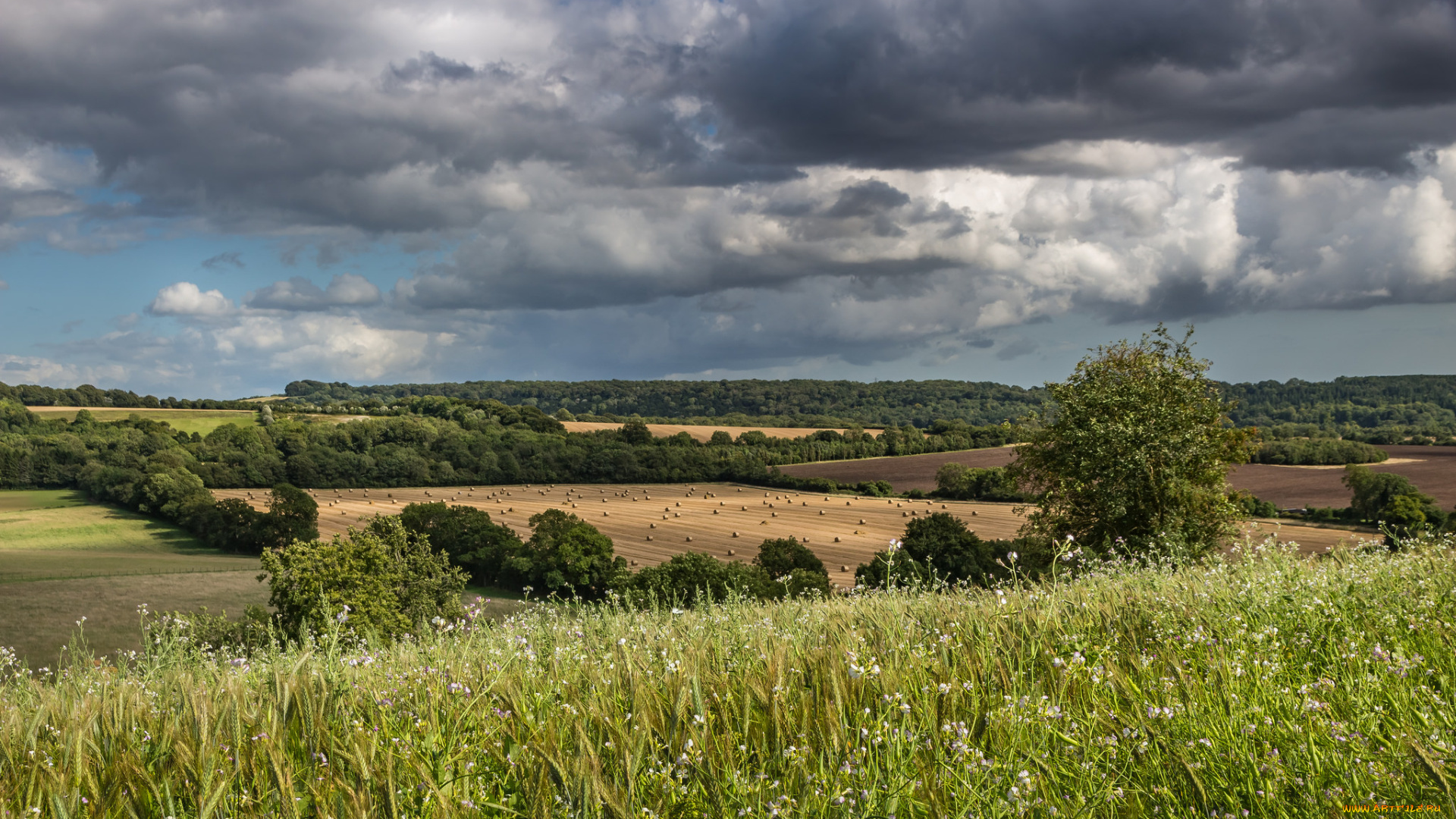 природа, пейзажи, простор