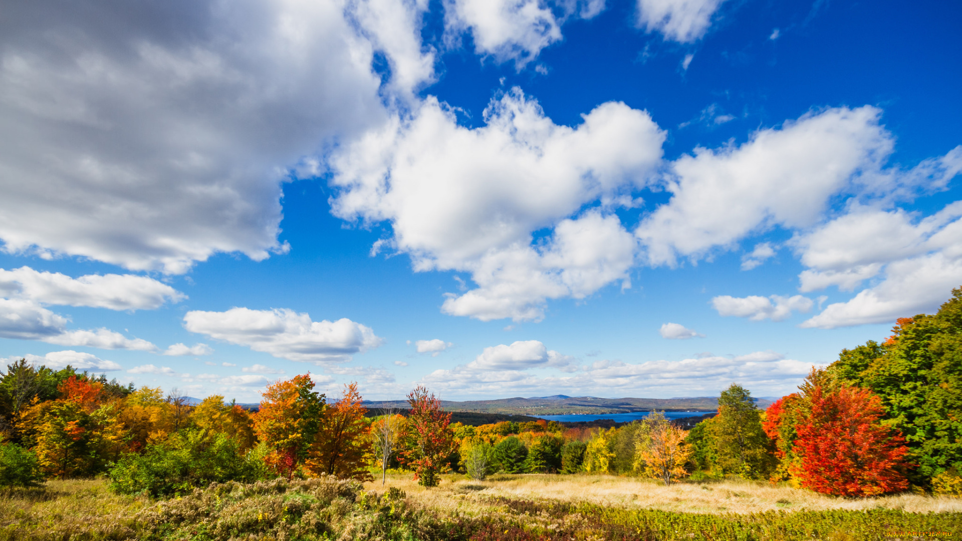 природа, пейзажи, простор