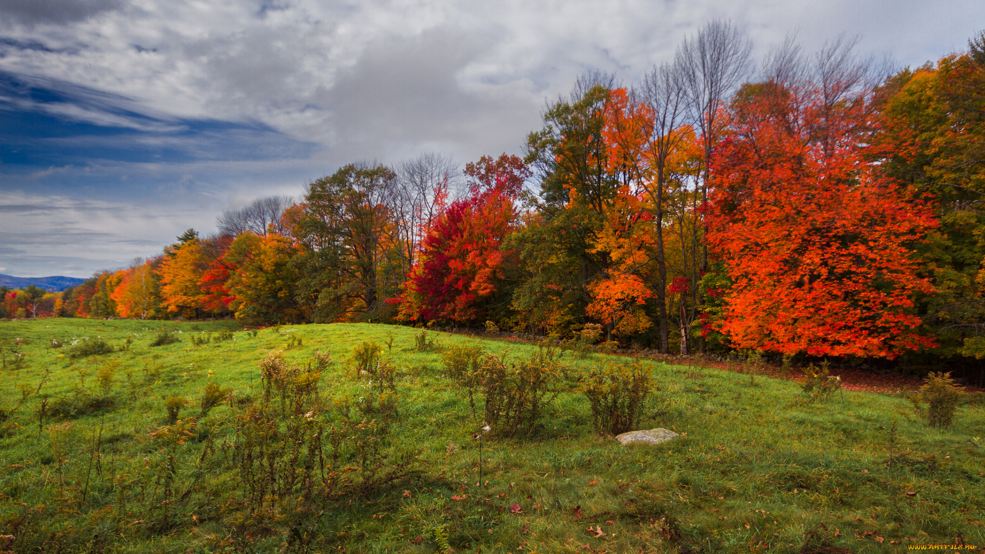 природа, пейзажи, простор