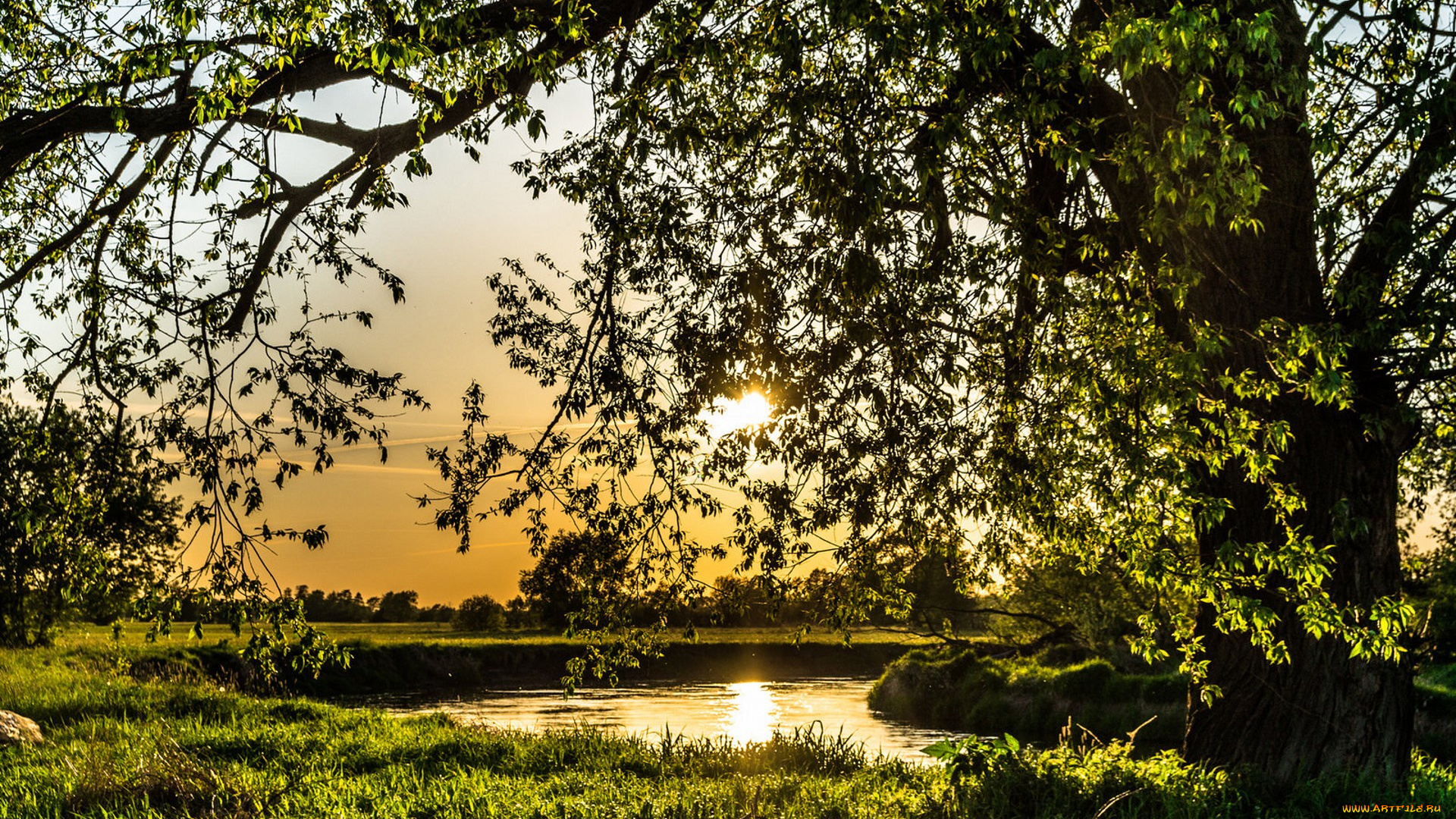 природа, реки, озера, простор