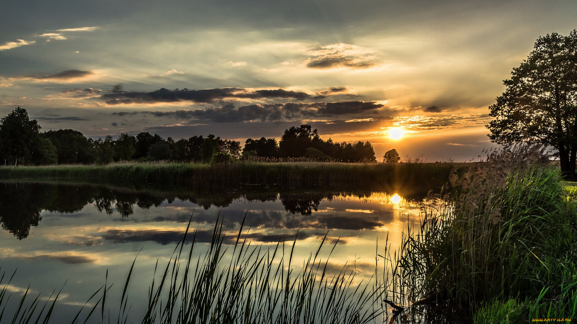 природа, реки, озера, простор