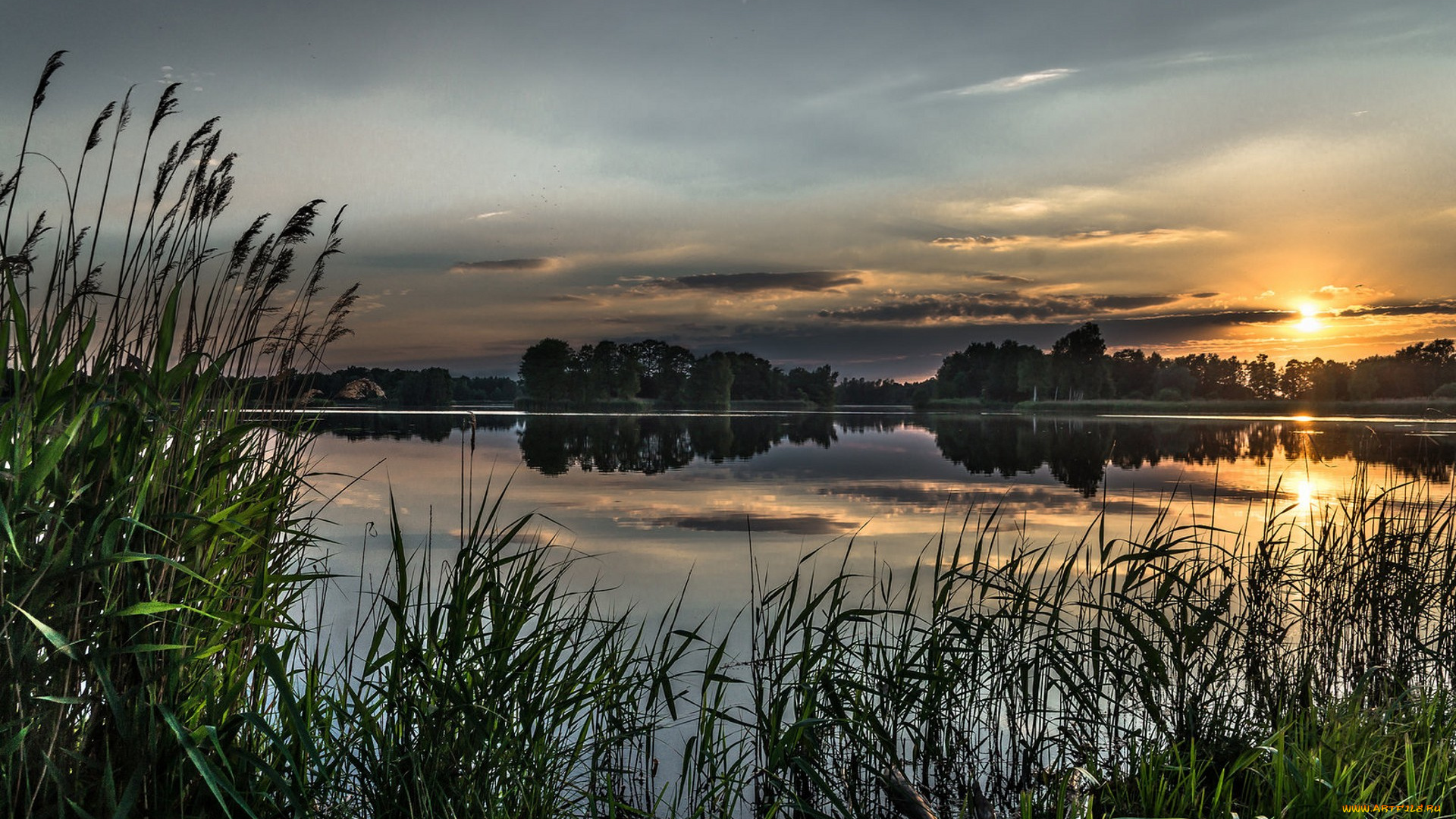 природа, реки, озера, простор