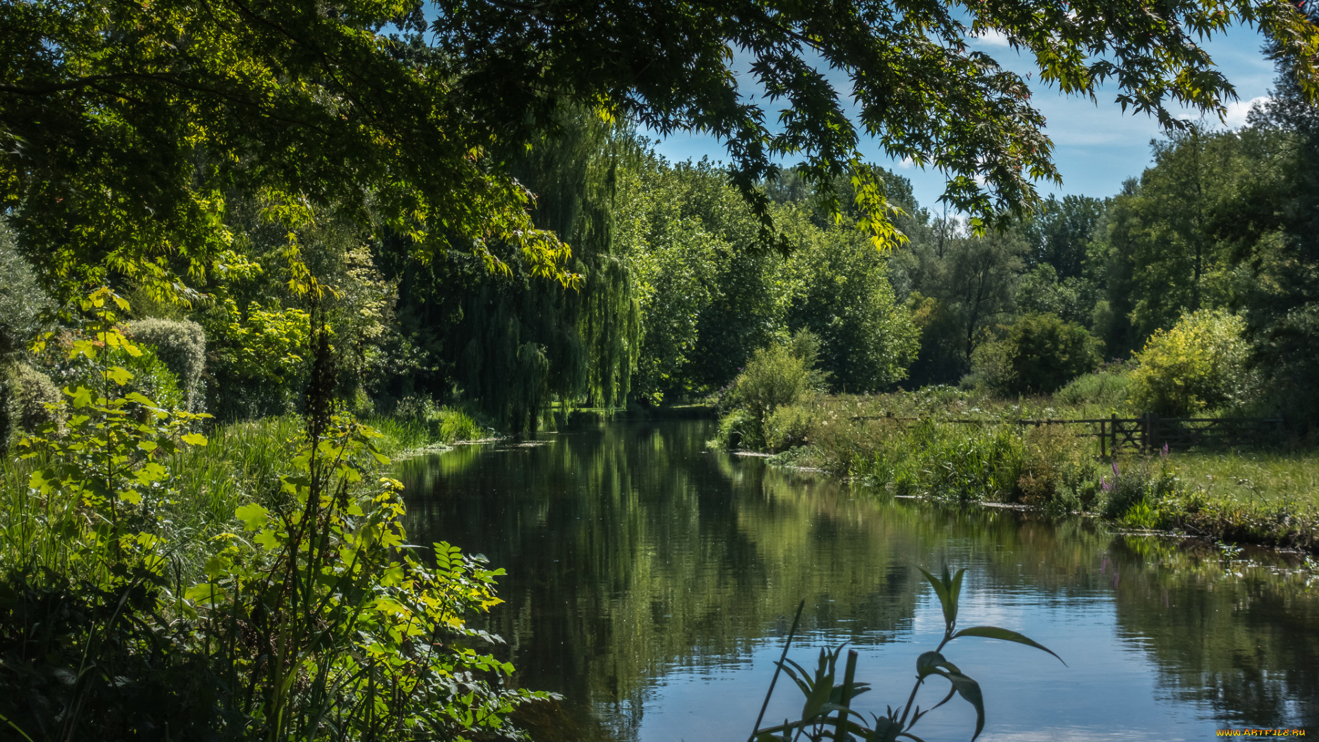 природа, реки, озера, простор