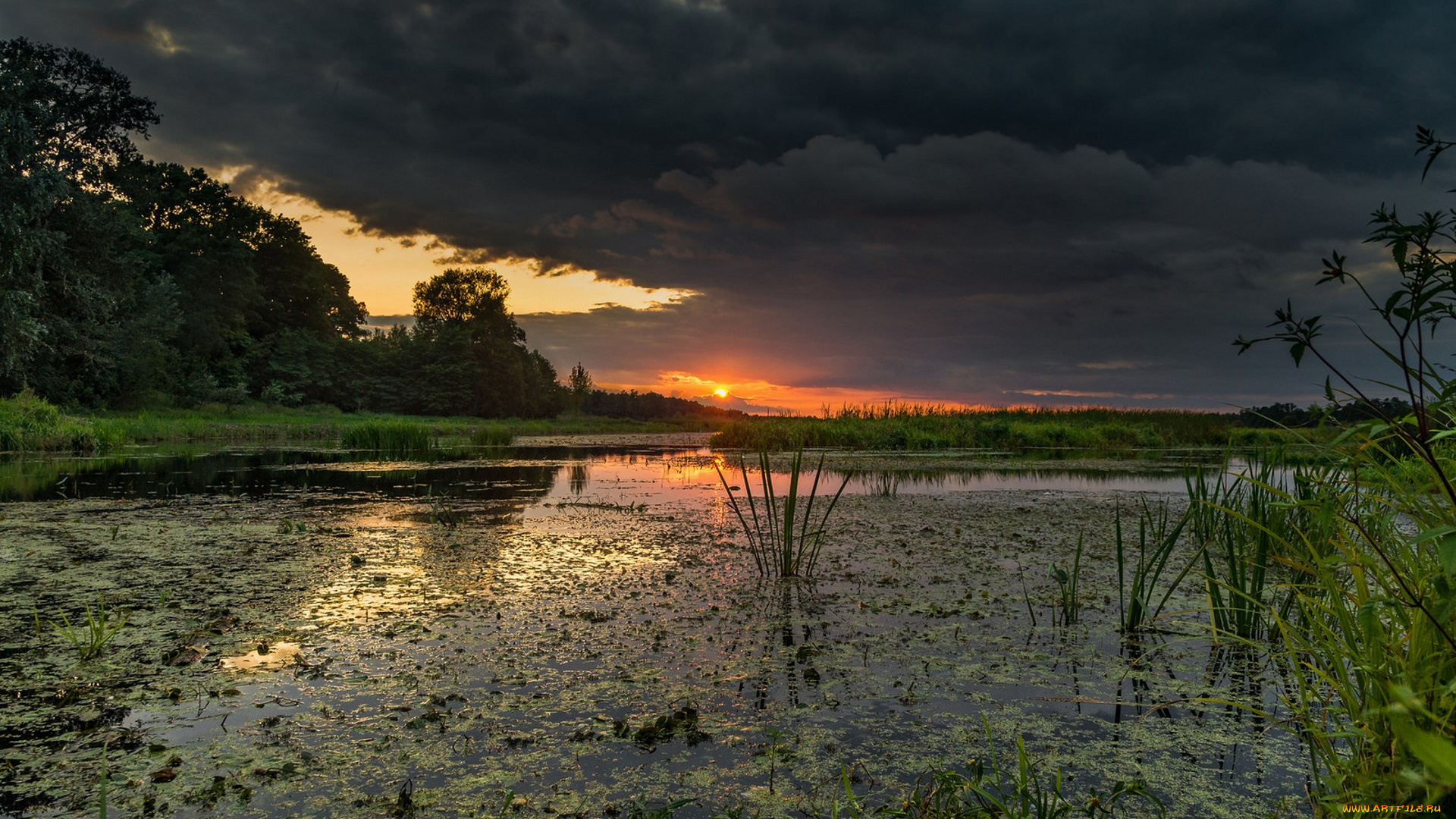 природа, реки, озера, простор