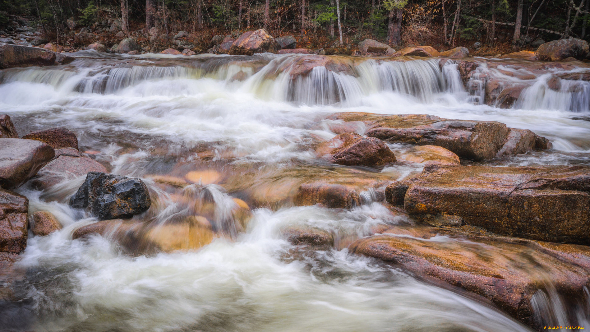 природа, реки, озера, простор