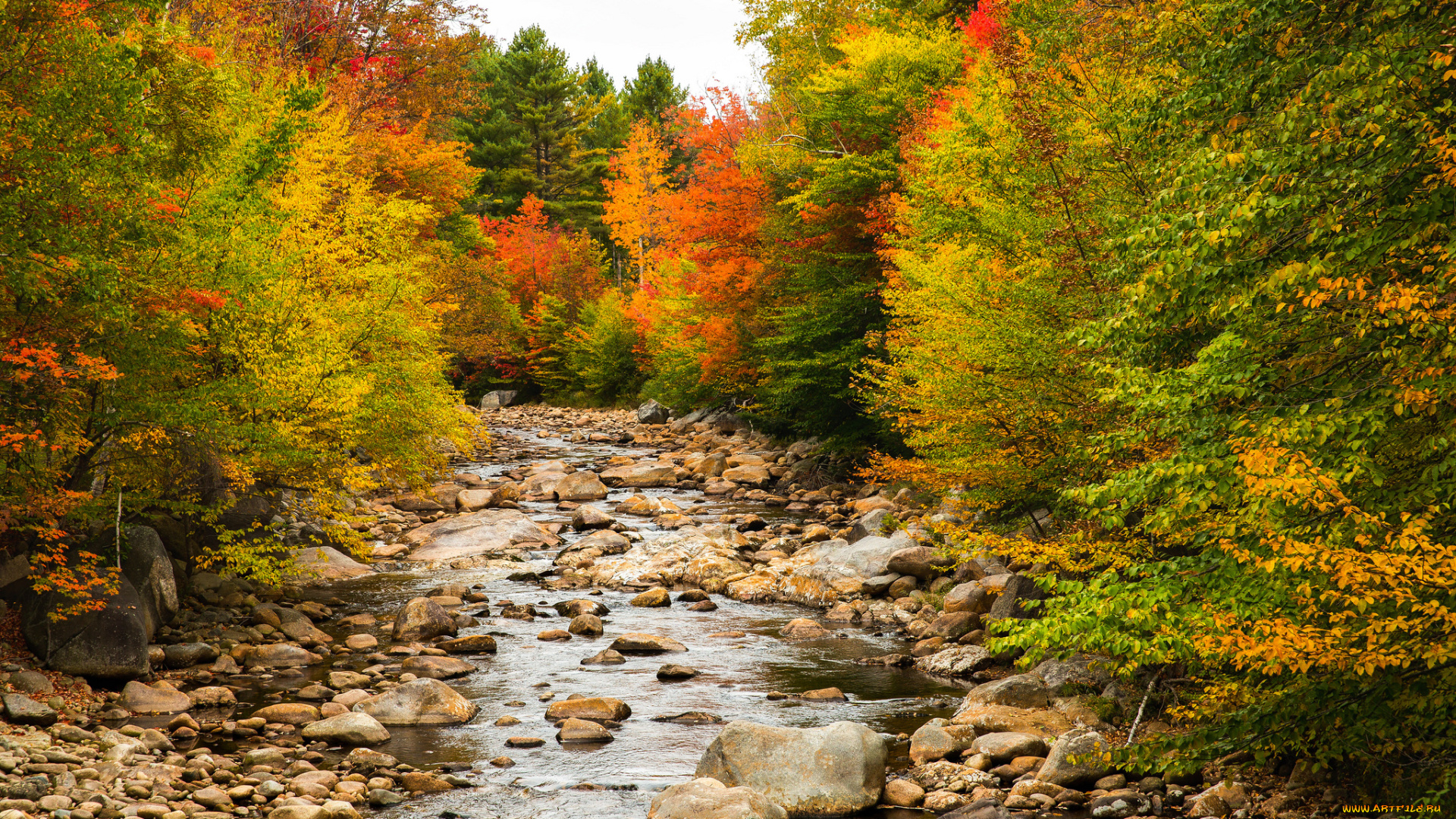 природа, реки, озера, простор