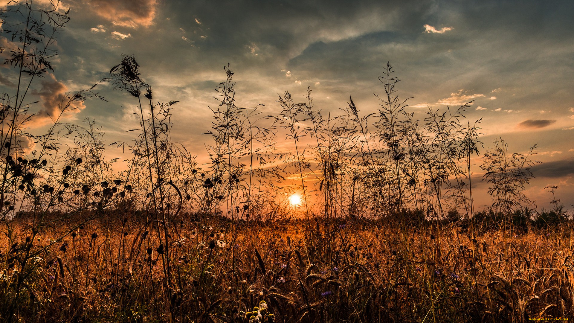 природа, восходы, закаты, простор