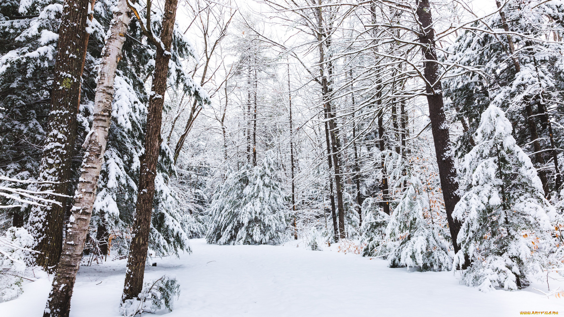 природа, зима, простор