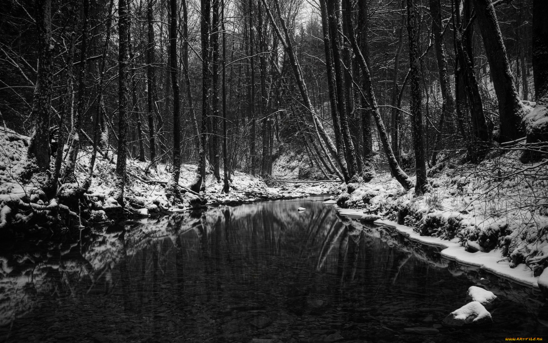 природа, реки, озера, лес, чёрно-бело, зима