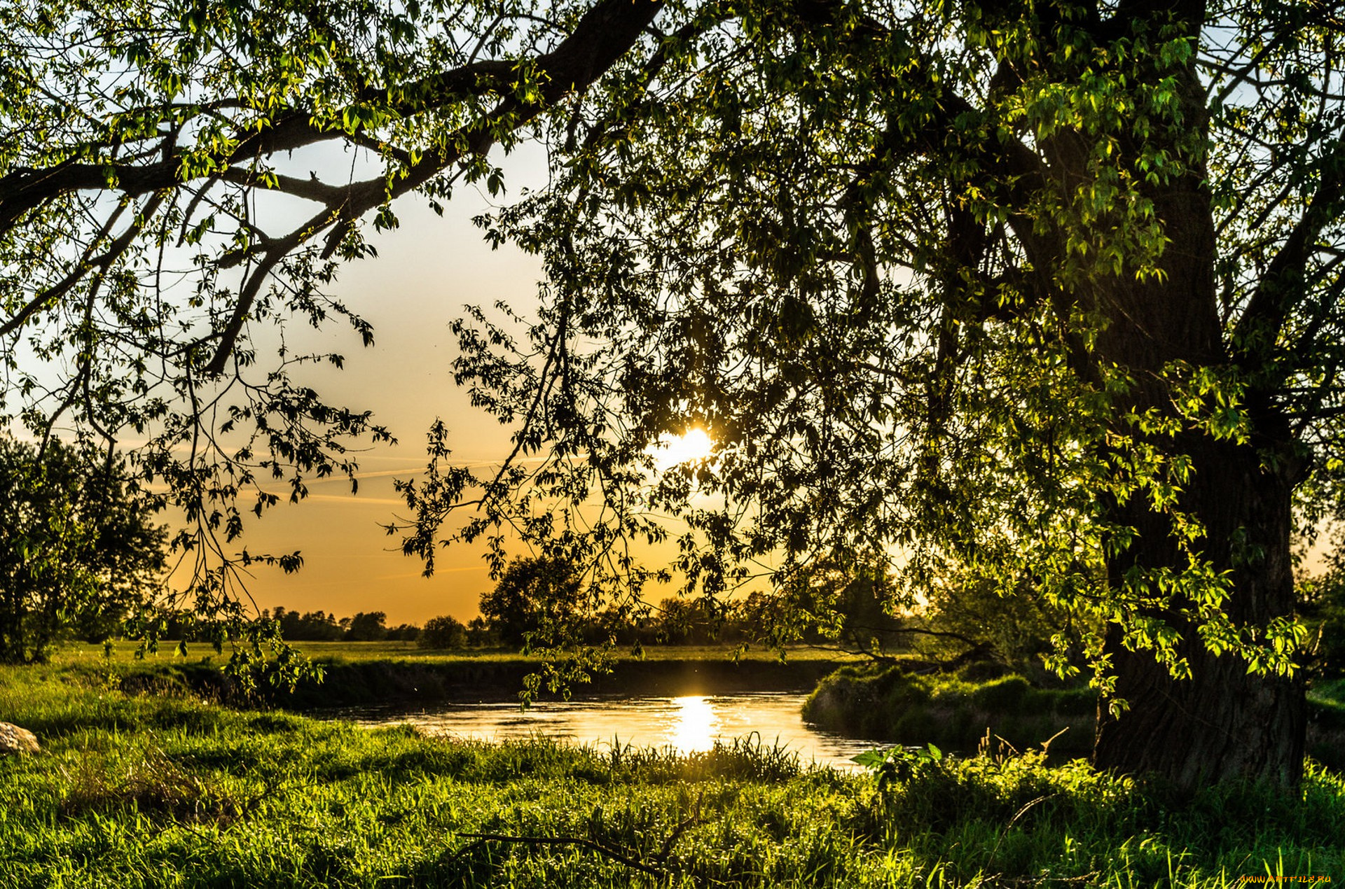 природа, реки, озера, простор