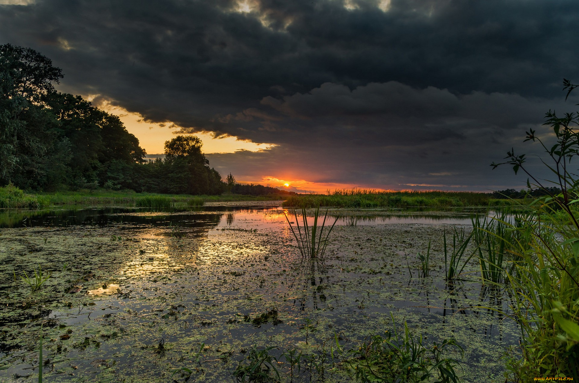 природа, реки, озера, простор