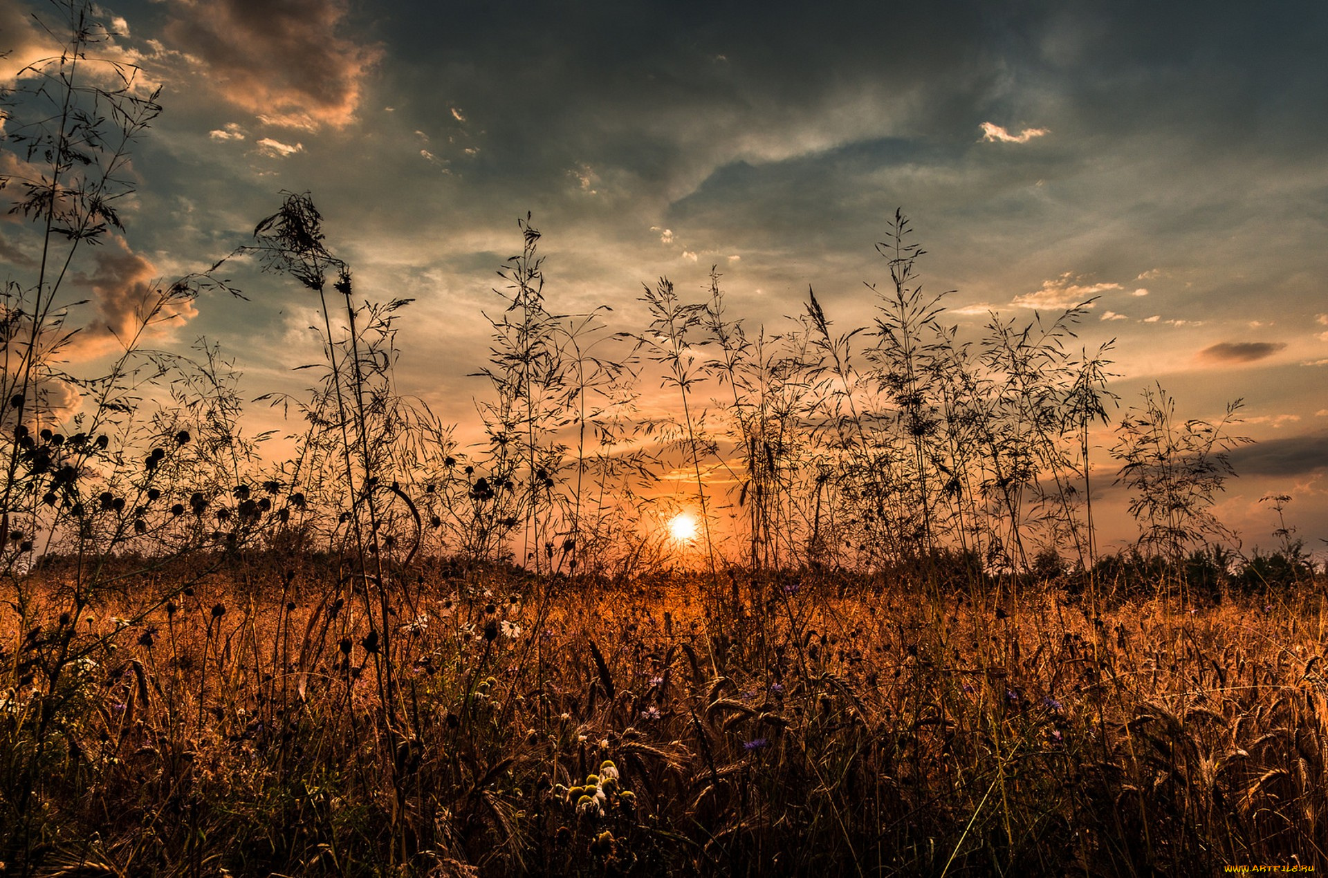 природа, восходы, закаты, простор