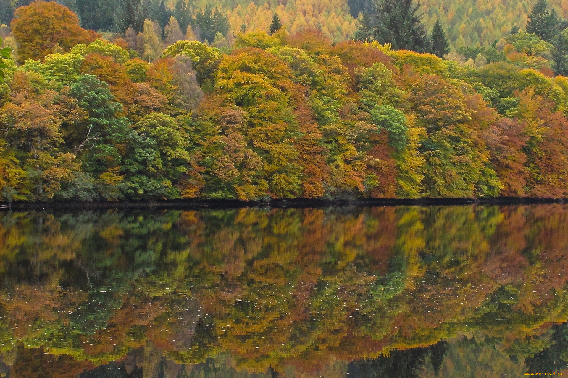 loch, faskally, scotland, природа, реки, озера, loch, faskally