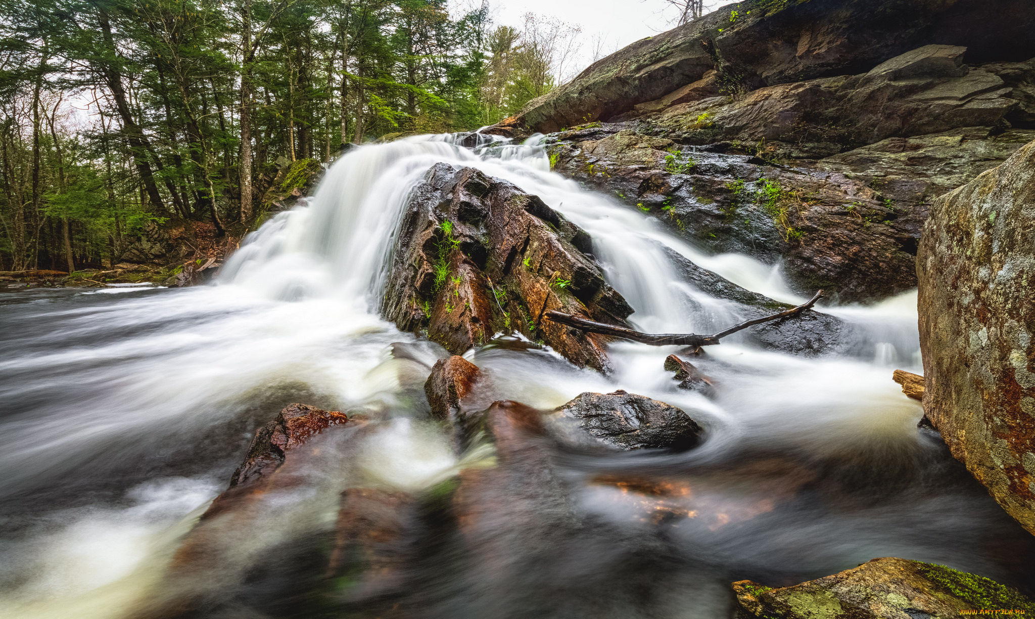 природа, реки, озера, простор