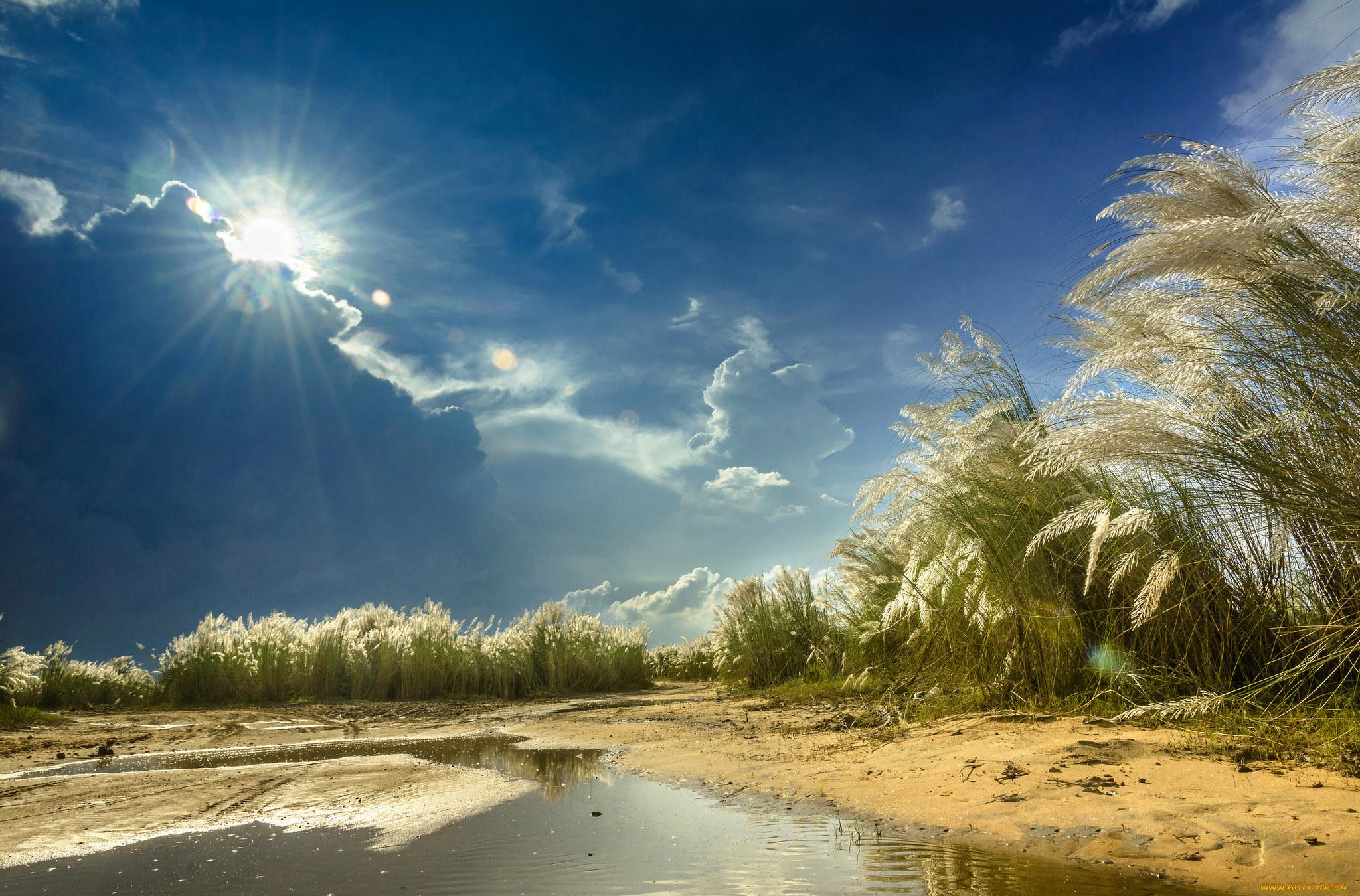 природа, пейзажи, простор