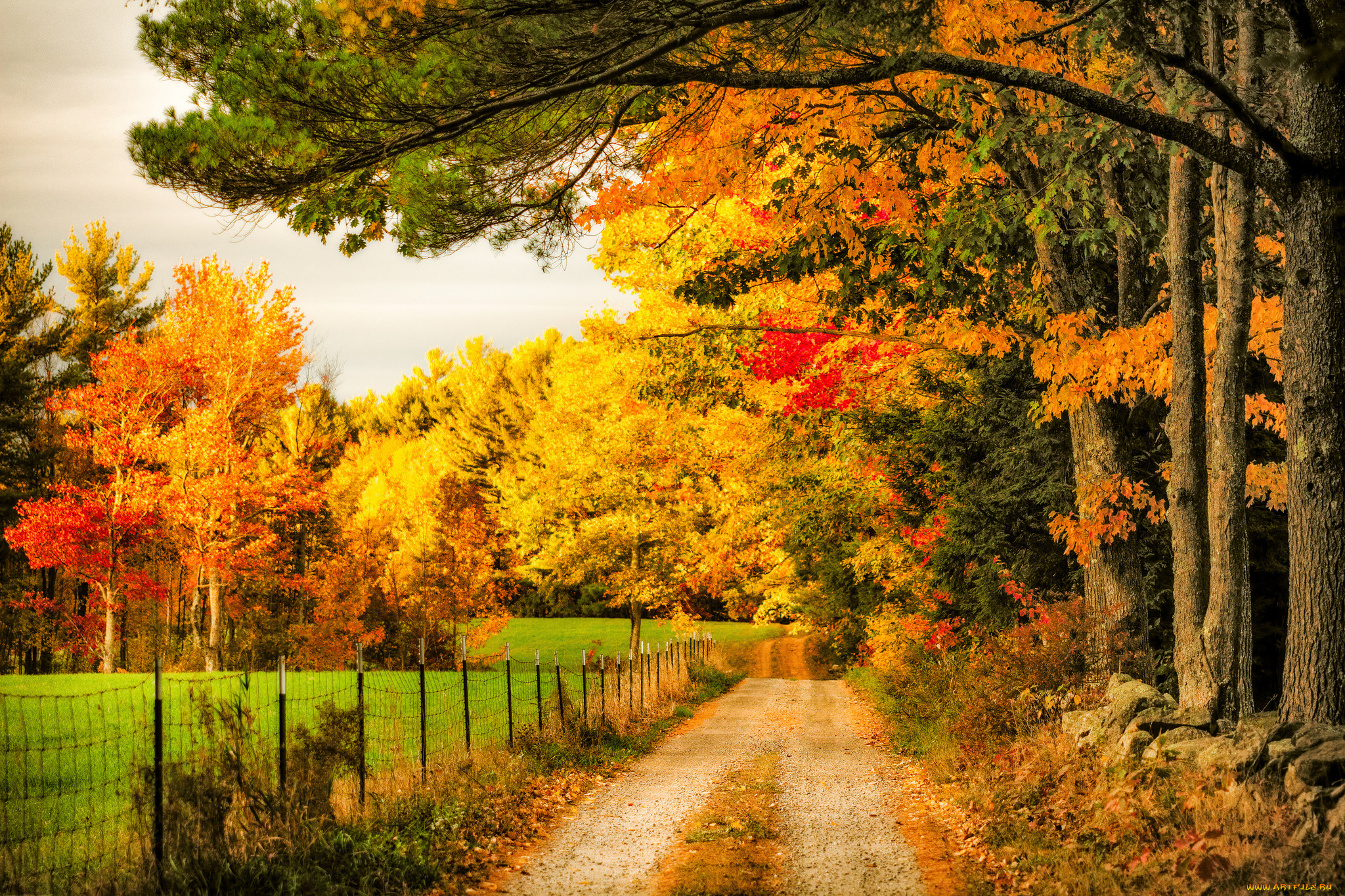 природа, дороги, простор