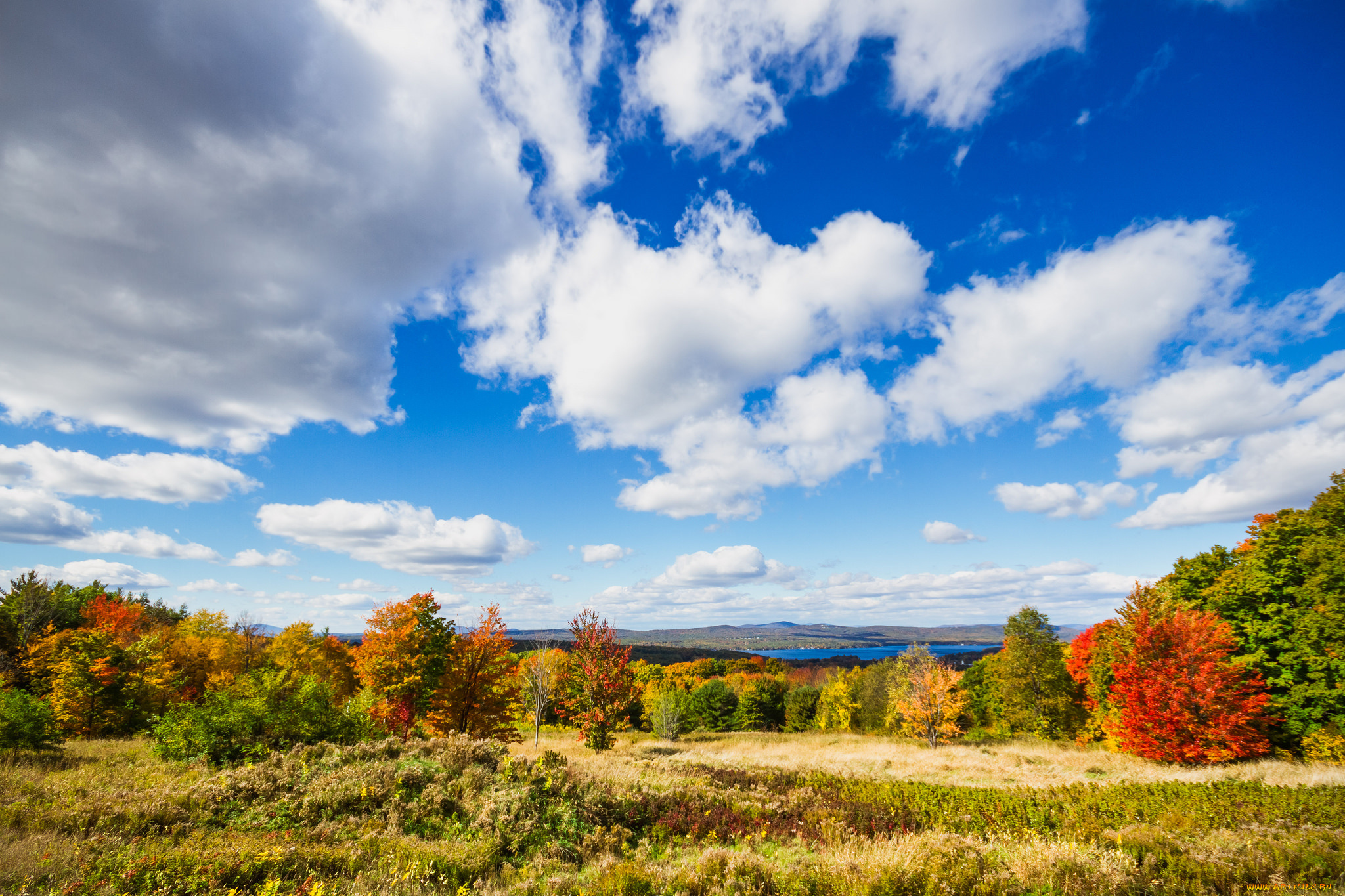 природа, пейзажи, простор