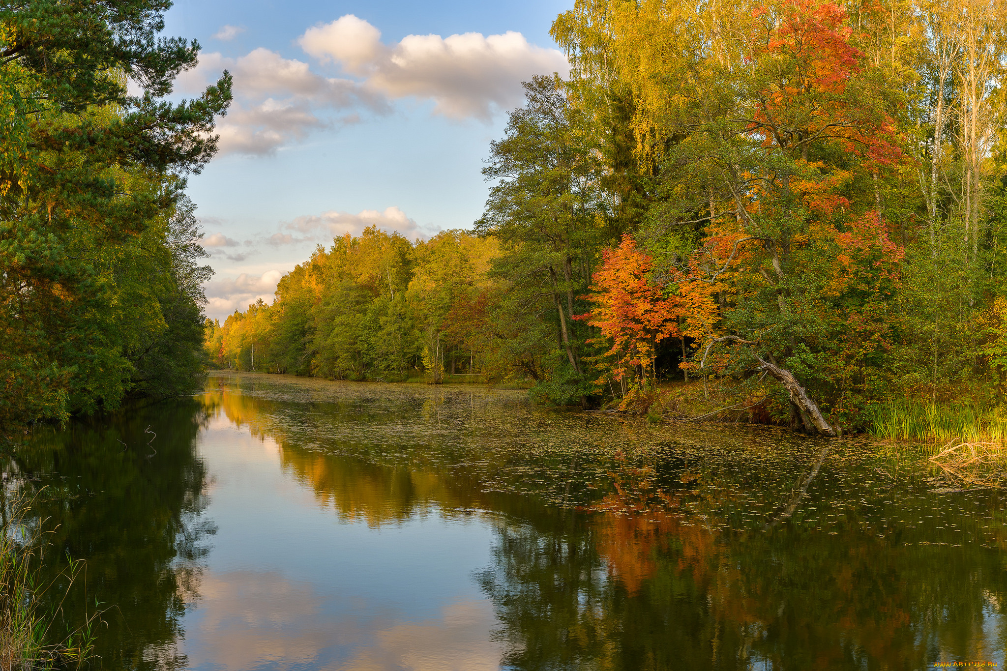 природа, реки, озера, простор