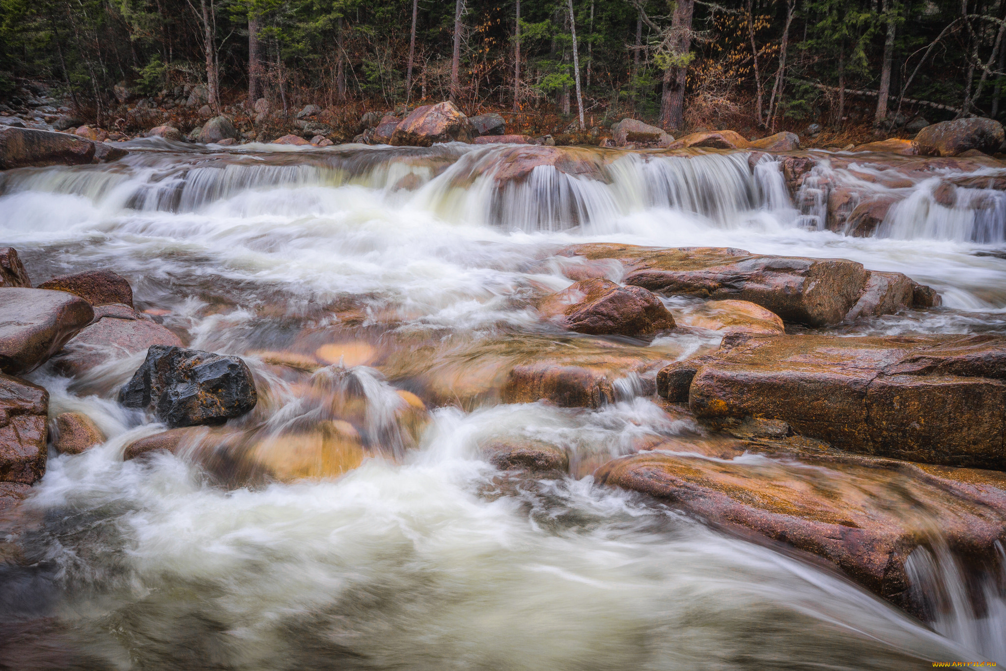 природа, реки, озера, простор
