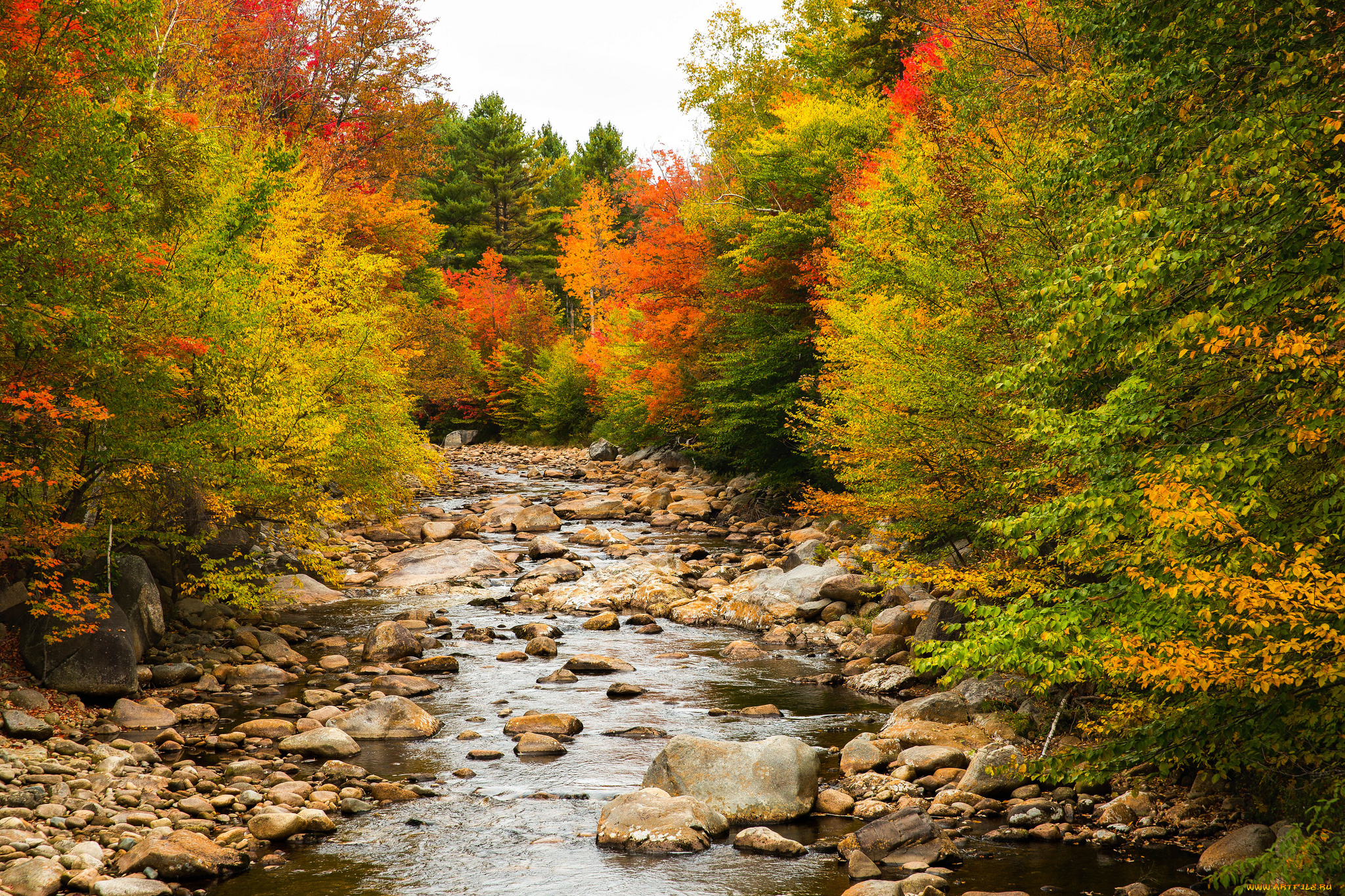 природа, реки, озера, простор