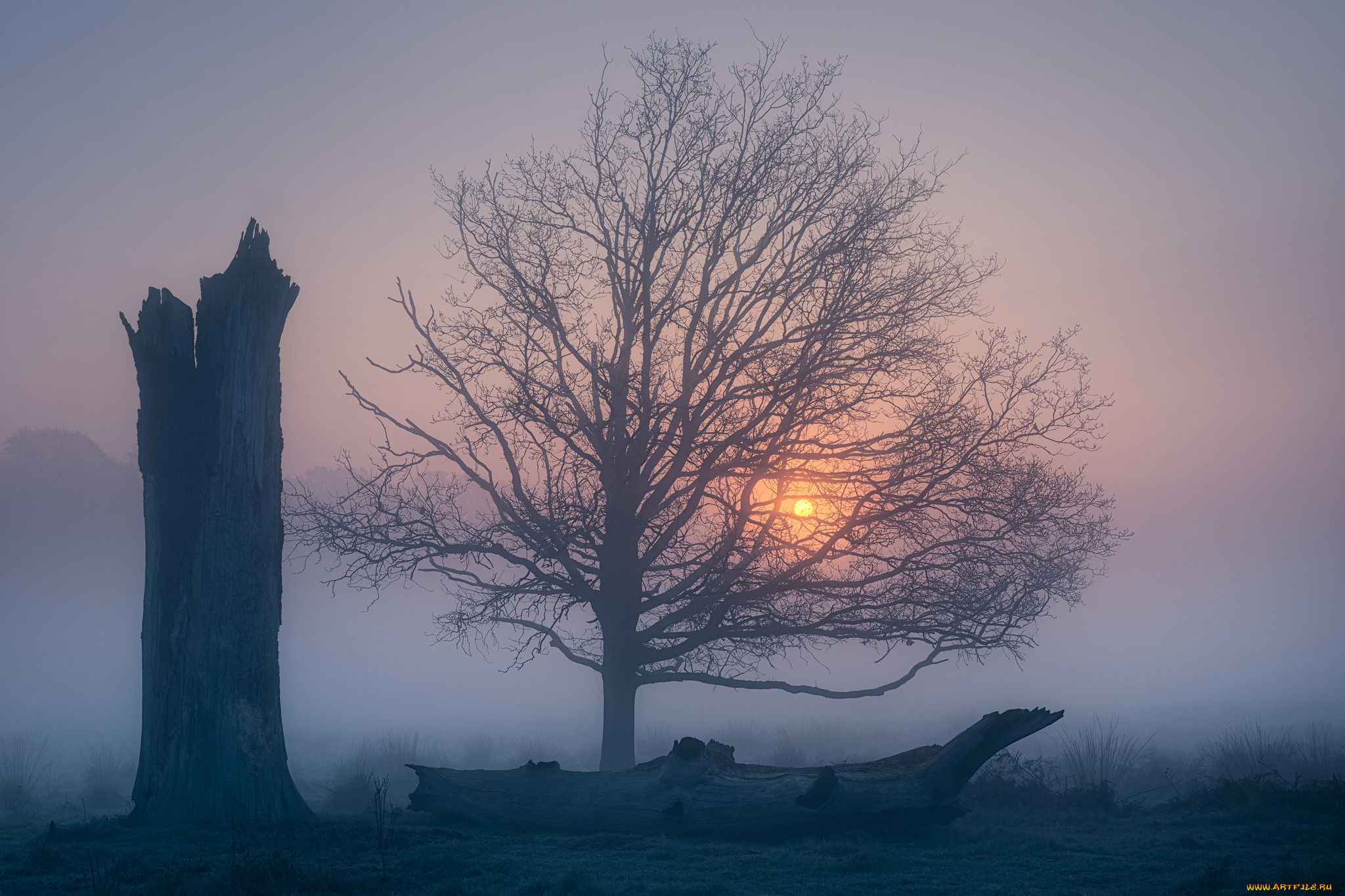 природа, восходы, закаты, утро