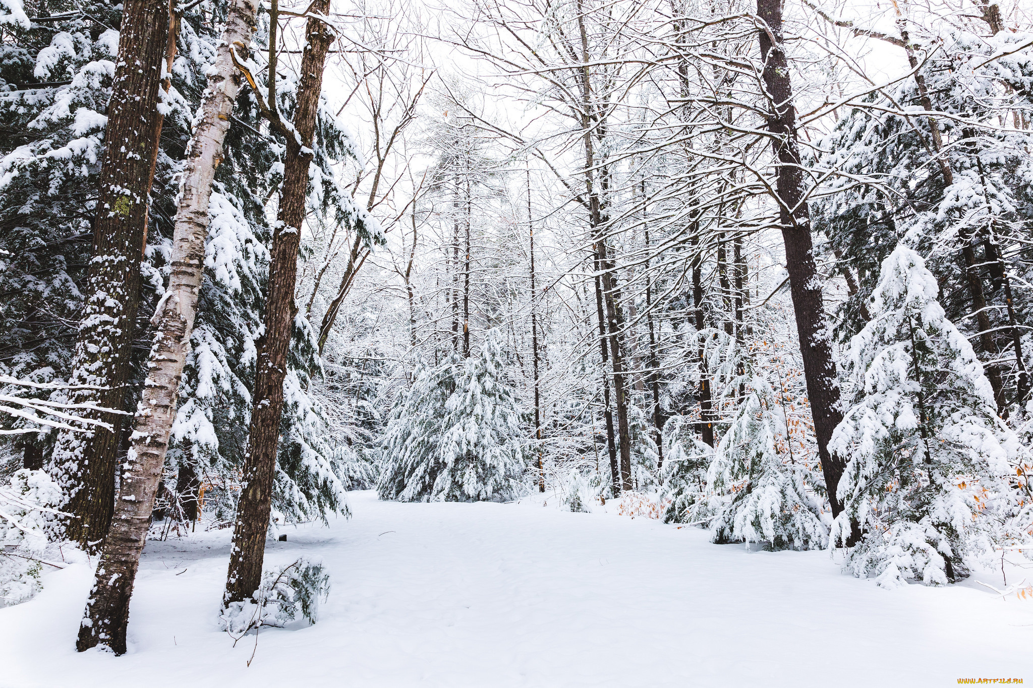 природа, зима, простор