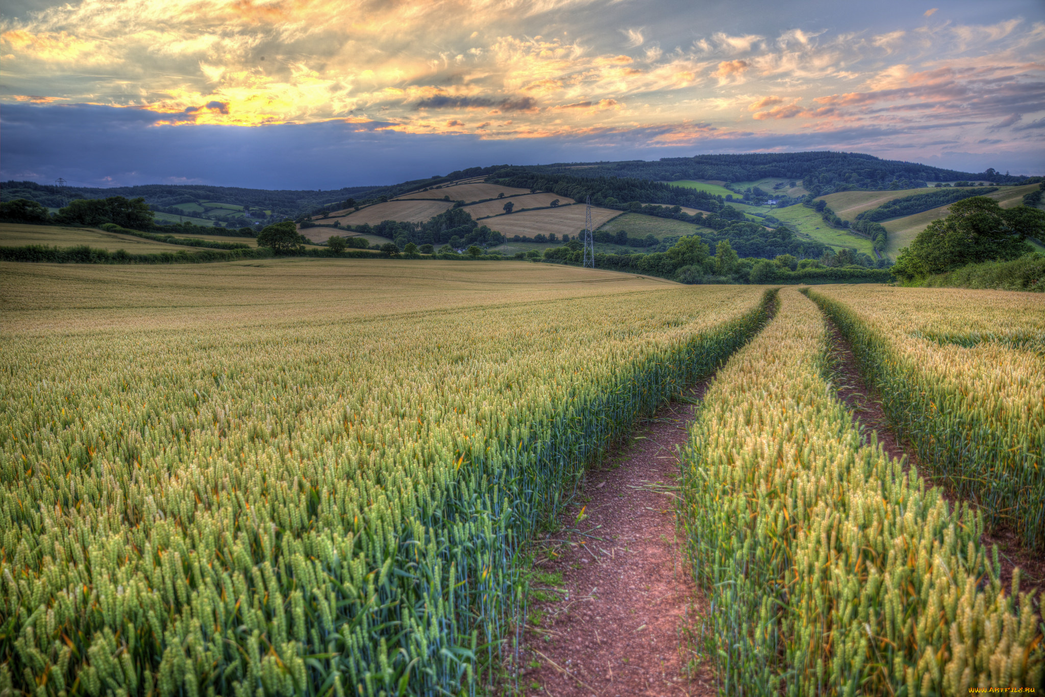 природа, дороги, простор