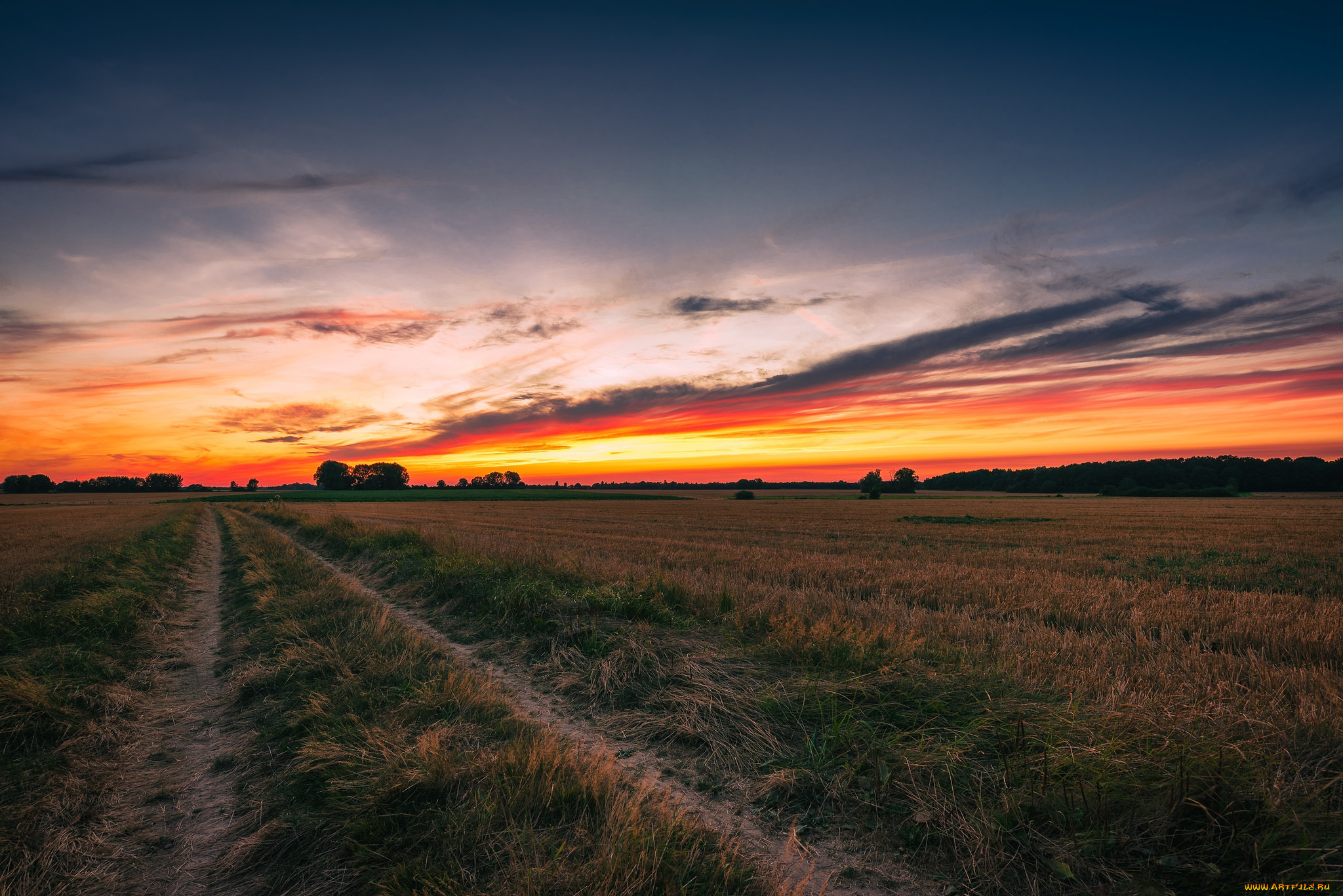 природа, дороги, простор