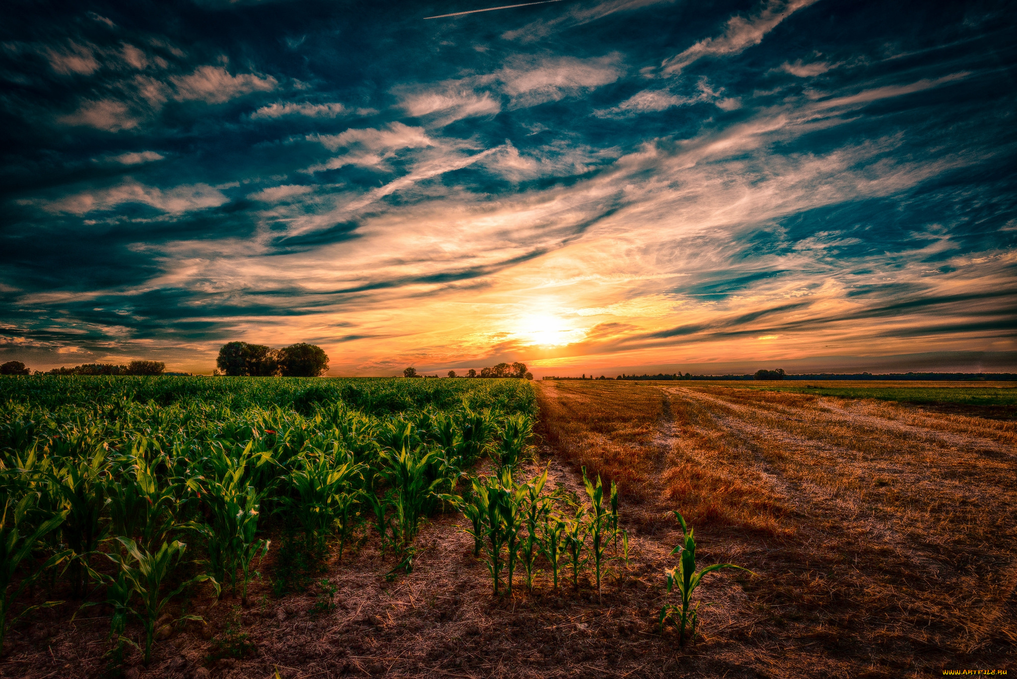 природа, восходы, закаты, простор