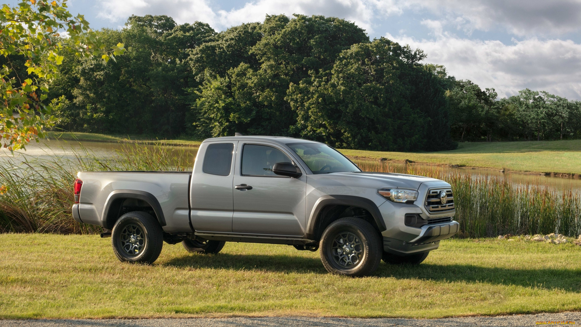 автомобили, toyota