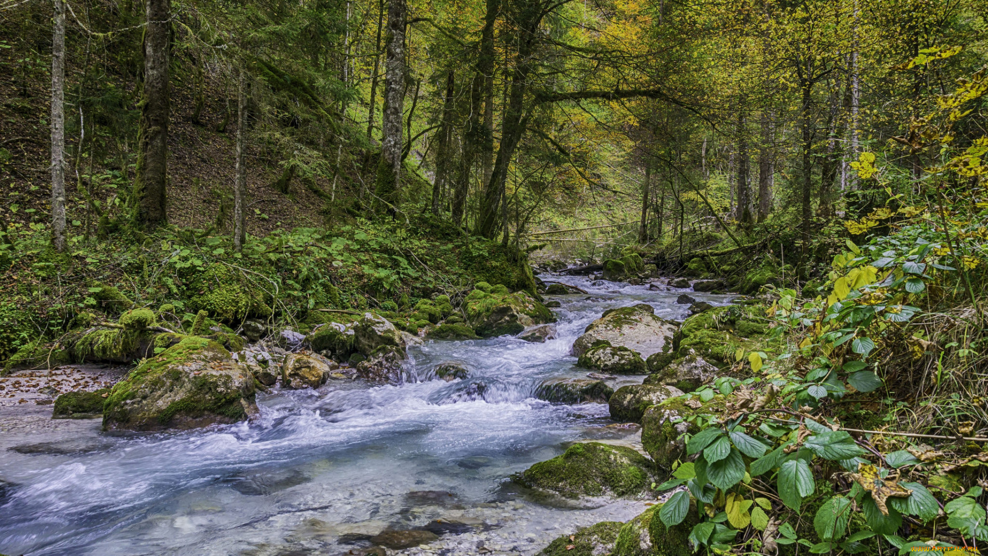 природа, реки, озера, простор