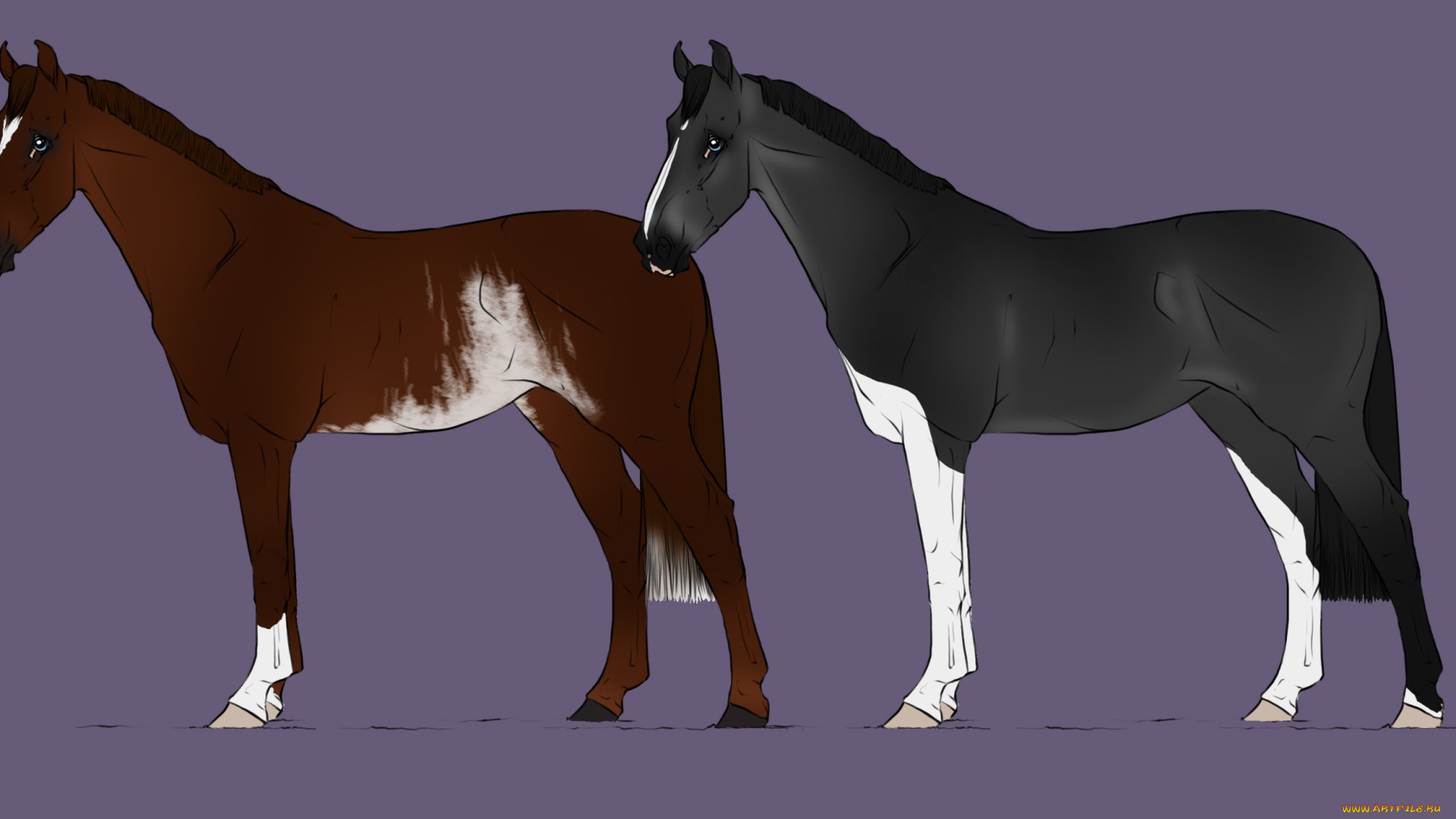 векторная, графика, животные, , animals, лошади, фон