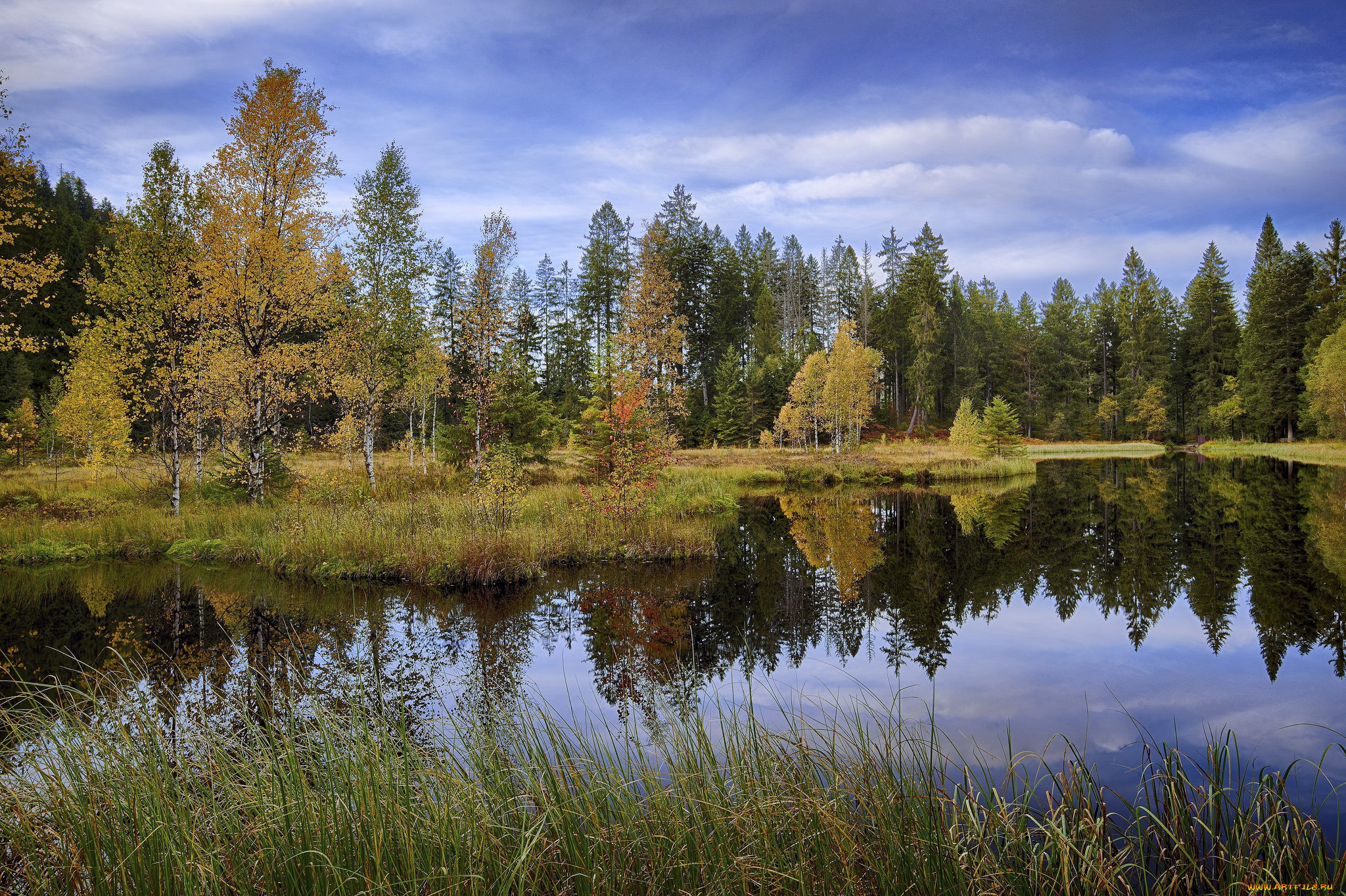 природа, реки, озера, простор