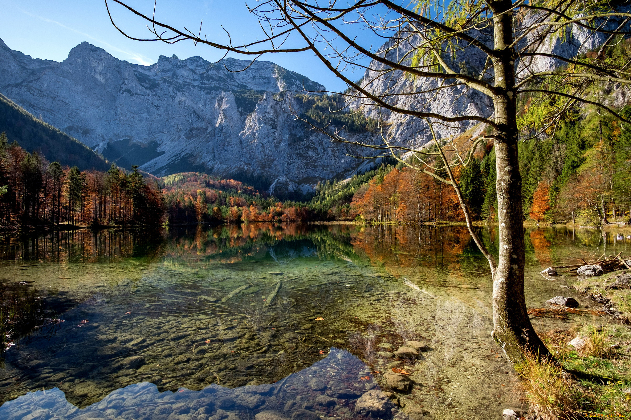 природа, реки, озера, простор