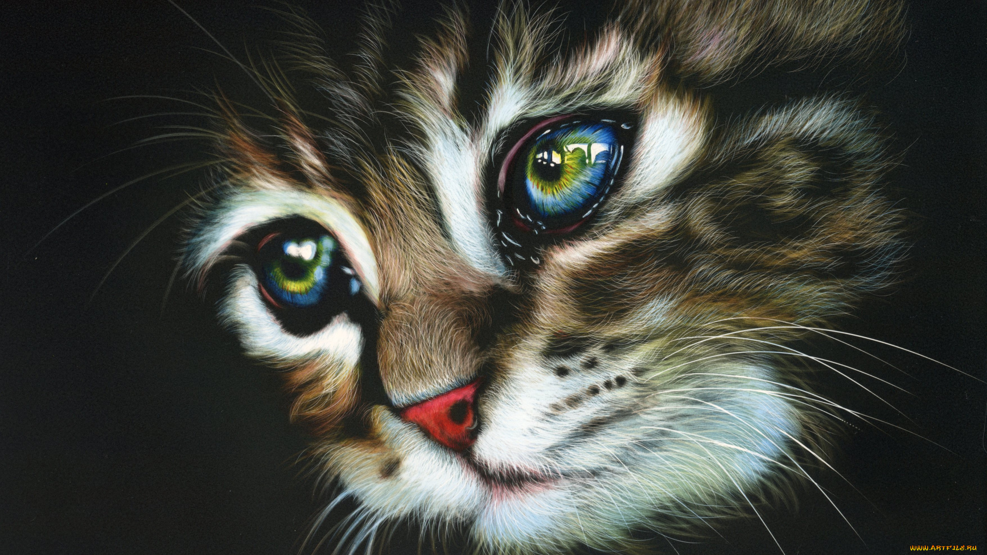 рисованное, животные, , коты, взгляд, фон, кот