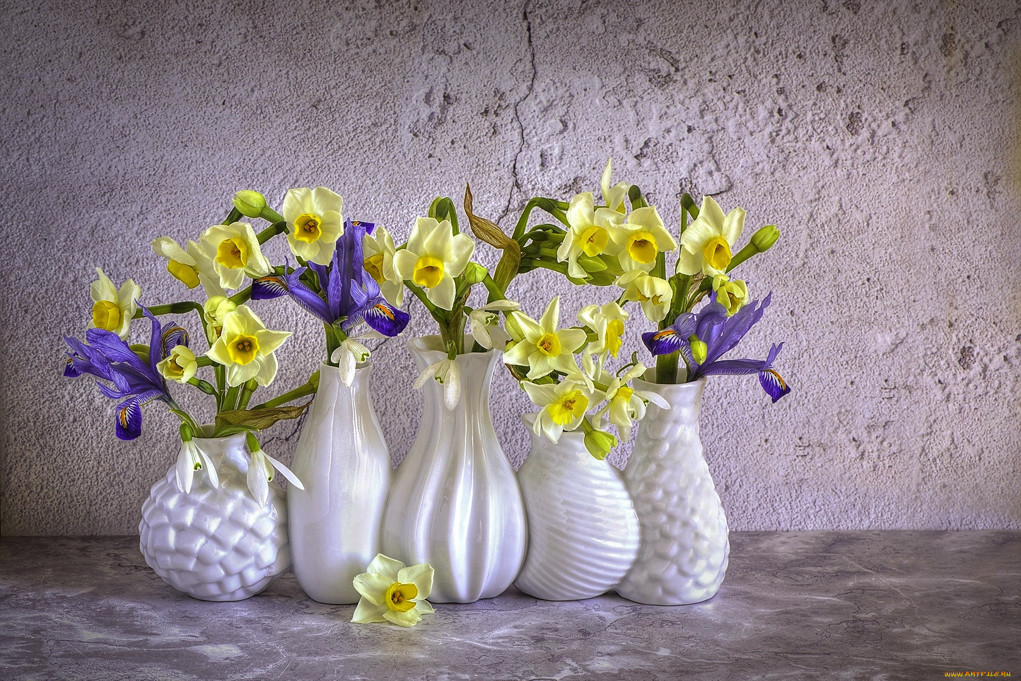 цветы, букеты, , композиции, нарциссы, ирисы