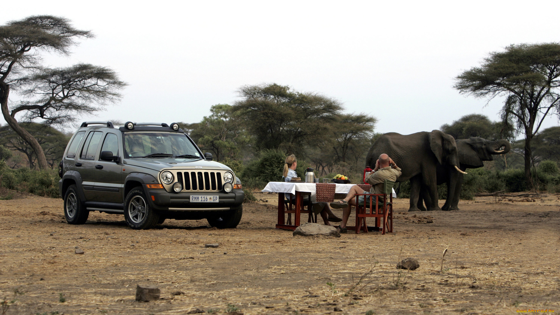 автомобили, jeep