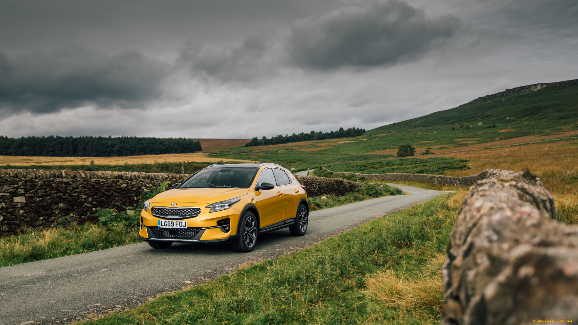 автомобили, kia