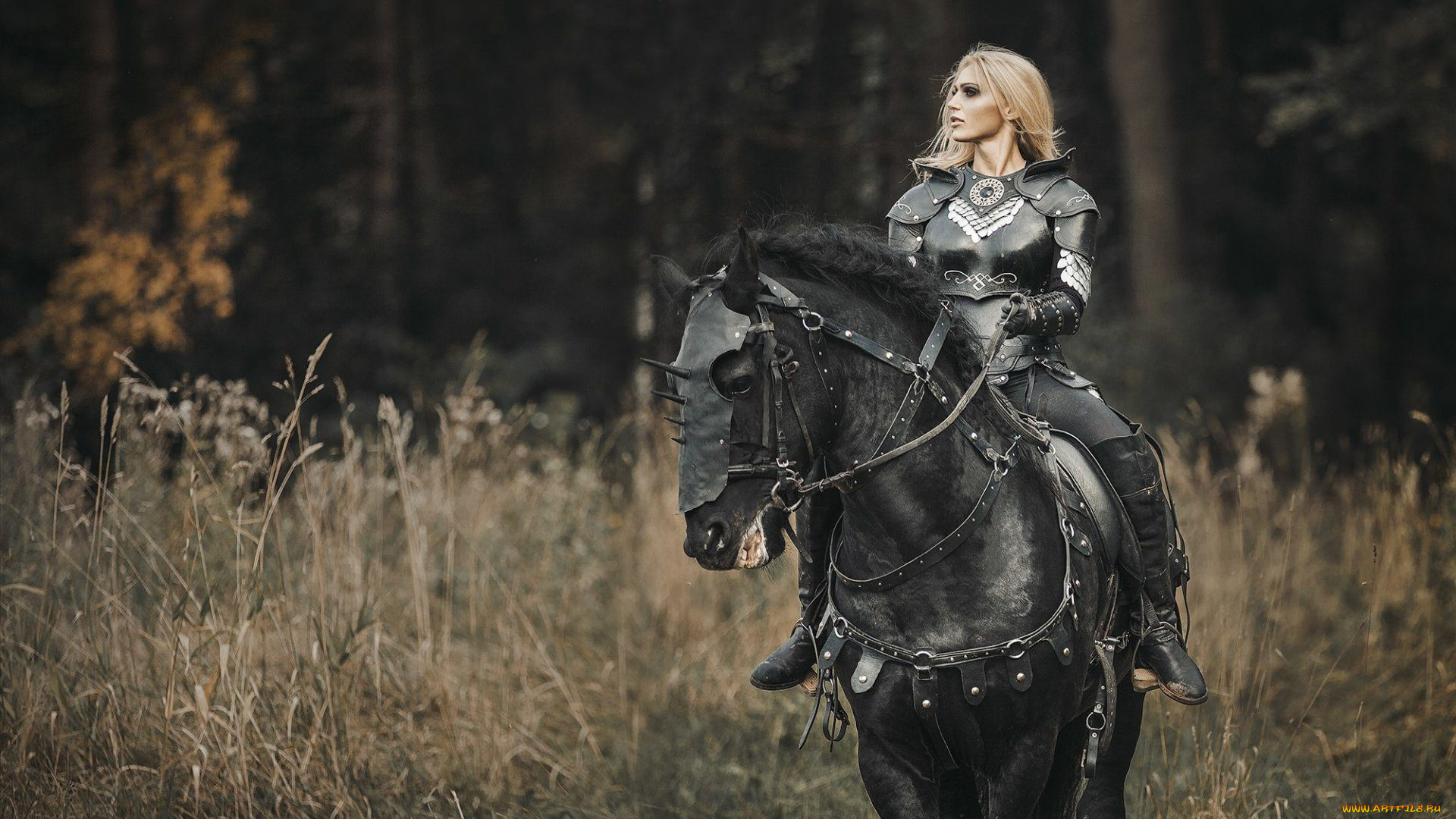 darya, lefler, девушки, дарья, лефлер, darya, lefler, чёрный, кожа, красотка, вороной, лошадь, конь, дарья, лефлер, cosplay, блондинка, девушка, модель, наряд, поза, макияж, причёска, взгляд