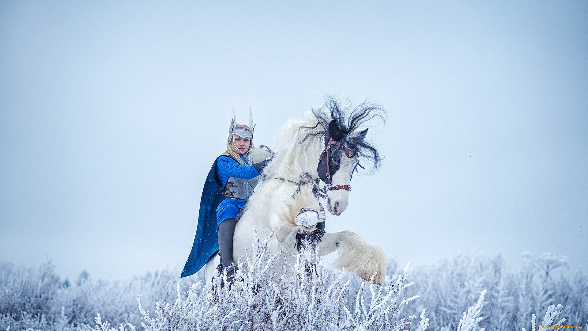 darya, lefler, девушки, дарья, лефлер, darya, lefler, посланник, синий, blue, конь, лошадь, жеребец, тяжеловоз, белый, снег, зима, холод, воин, доспехи, средневековье, дарья, лефлер, cosplay, блондинка, девушка, модель, наряд, поза, макияж, причёска, взгляд