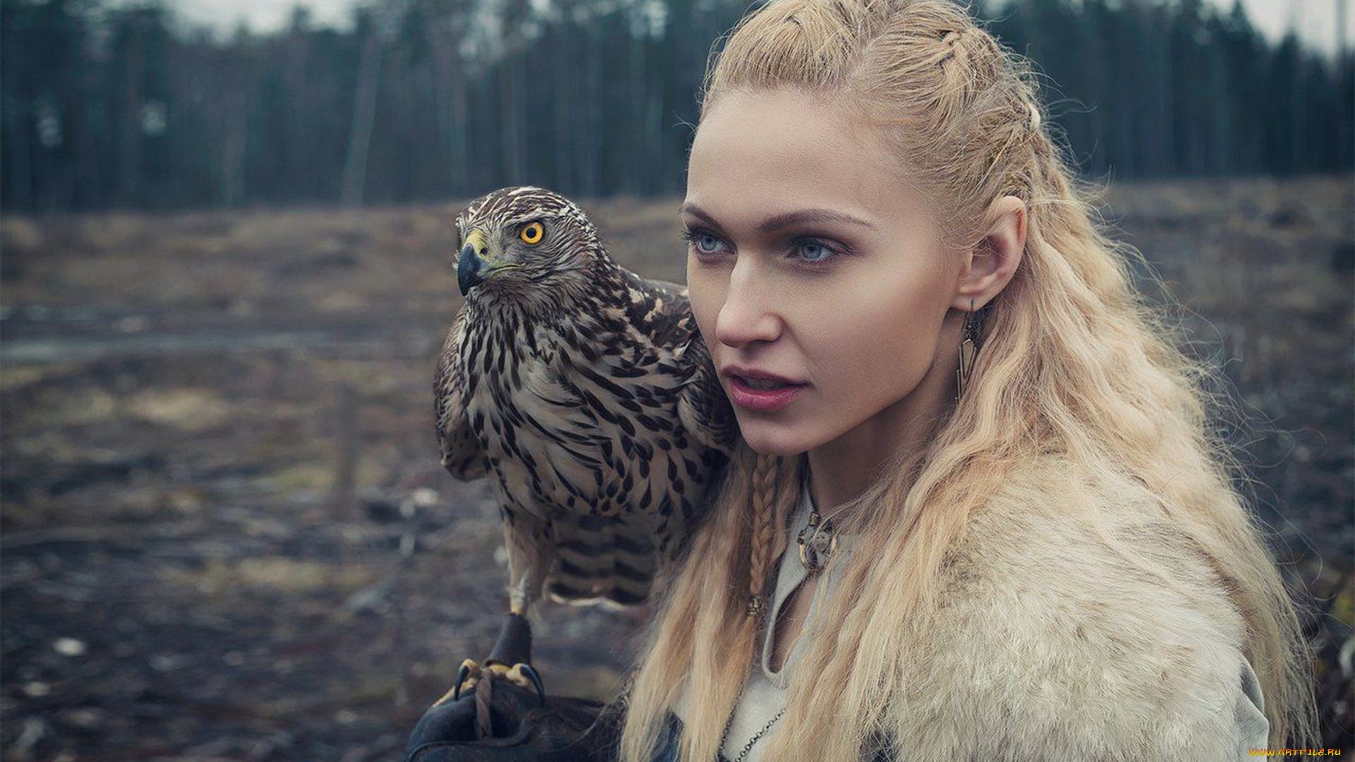 darya, lefler, девушки, дарья, лефлер, darya, lefler, охотник, средневековье, птица, хищник, ястреб, охота, дарья, лефлер, cosplay, блондинка, девушка, модель, наряд, поза, макияж, причёска, взгляд