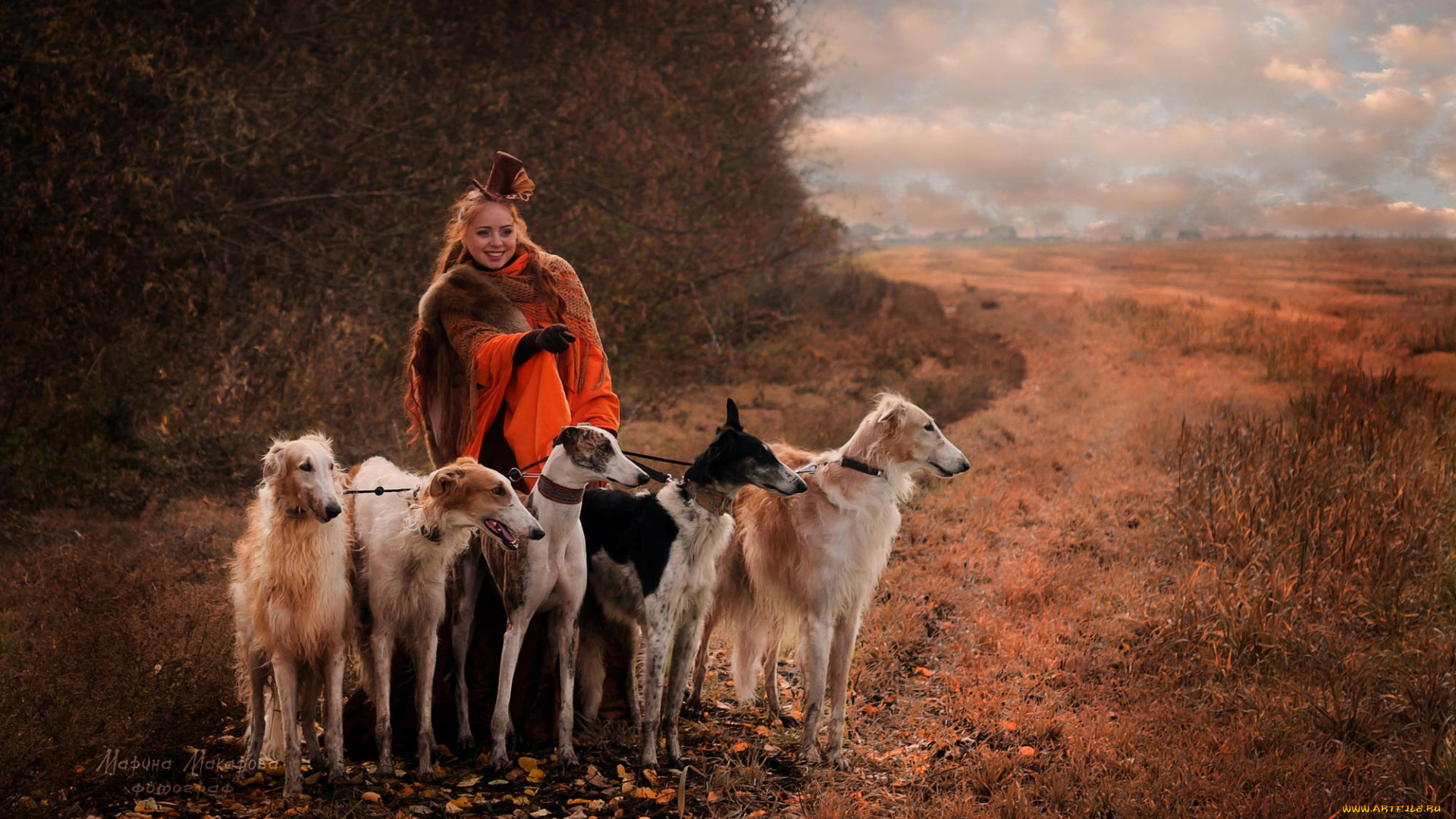 девушки, -, рыжеволосые, и, разноцветные, собаки, борзые, осень, поля, роща, шляпа, рыжая