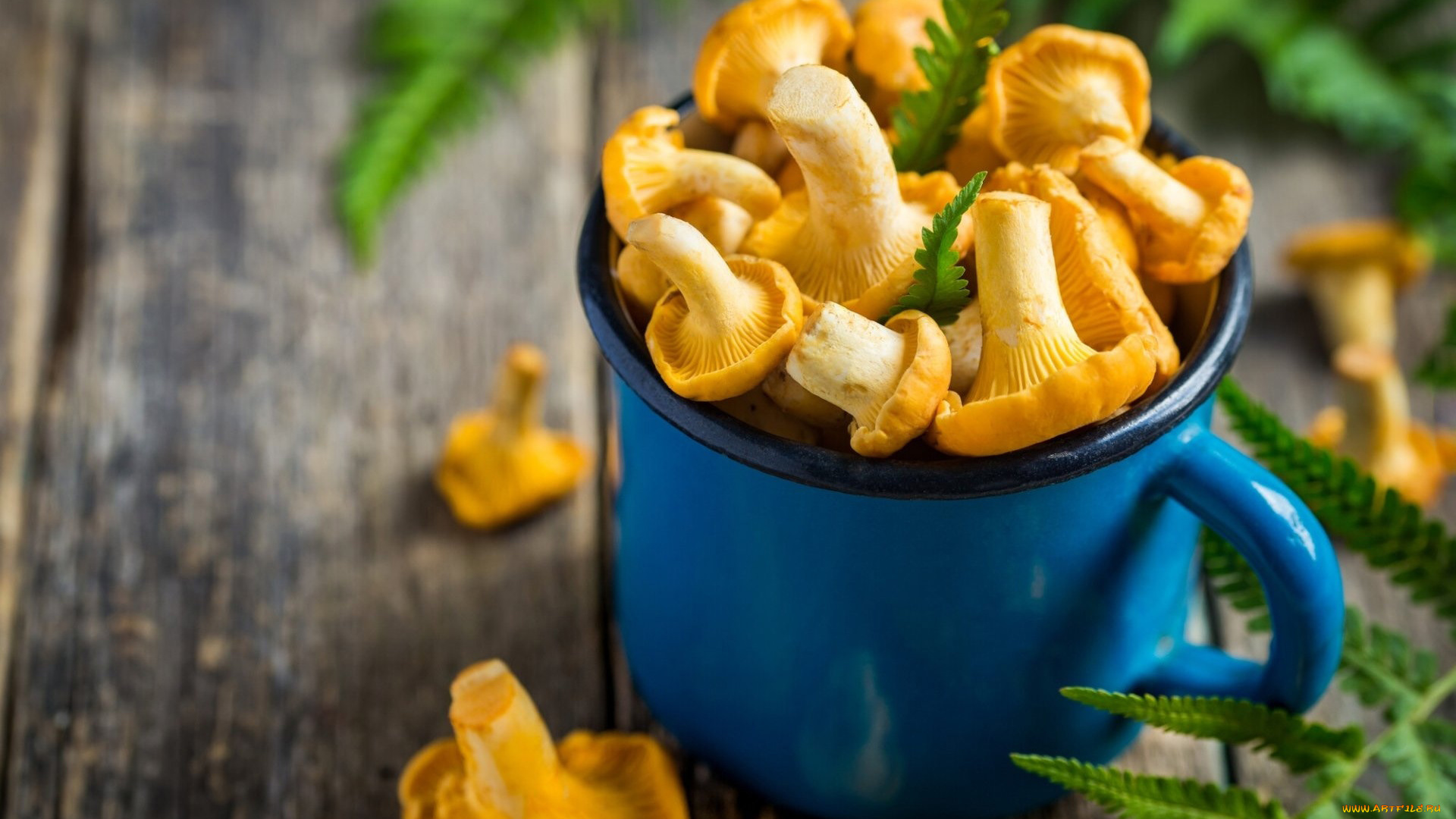 еда, грибы, , грибные, блюда, лисички