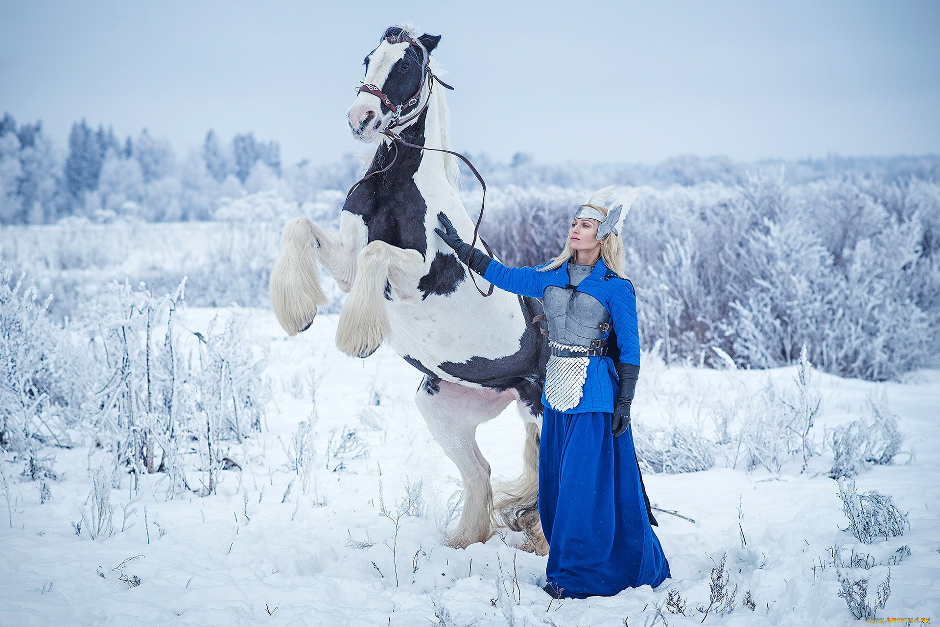 darya, lefler, девушки, дарья, лефлер, darya, lefler, посланник, синий, blue, конь, лошадь, жеребец, тяжеловоз, белый, снег, зима, холод, воин, доспехи, средневековье, дарья, лефлер, cosplay, блондинка, девушка, модель, наряд, поза, макияж, причёска, взгляд