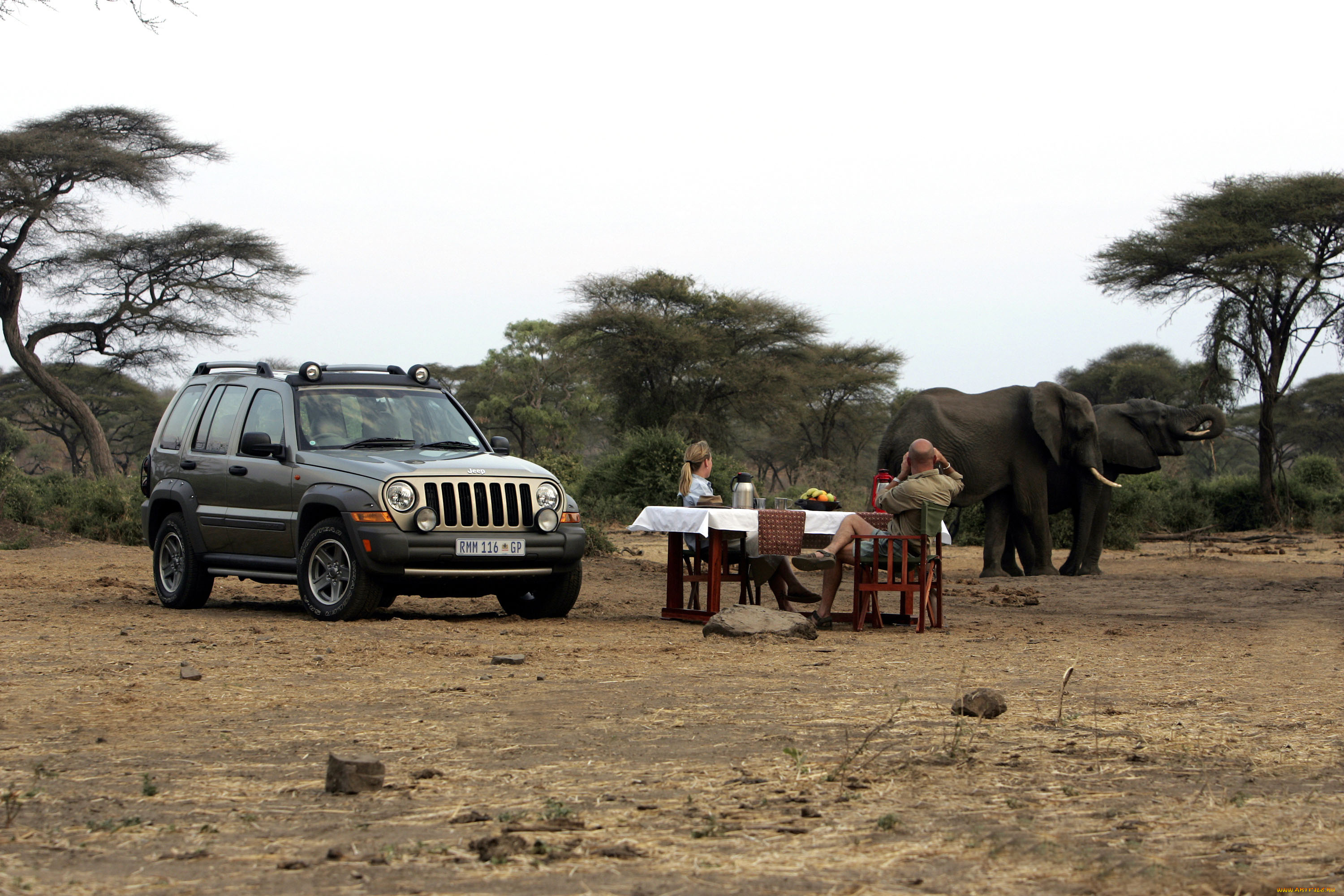автомобили, jeep