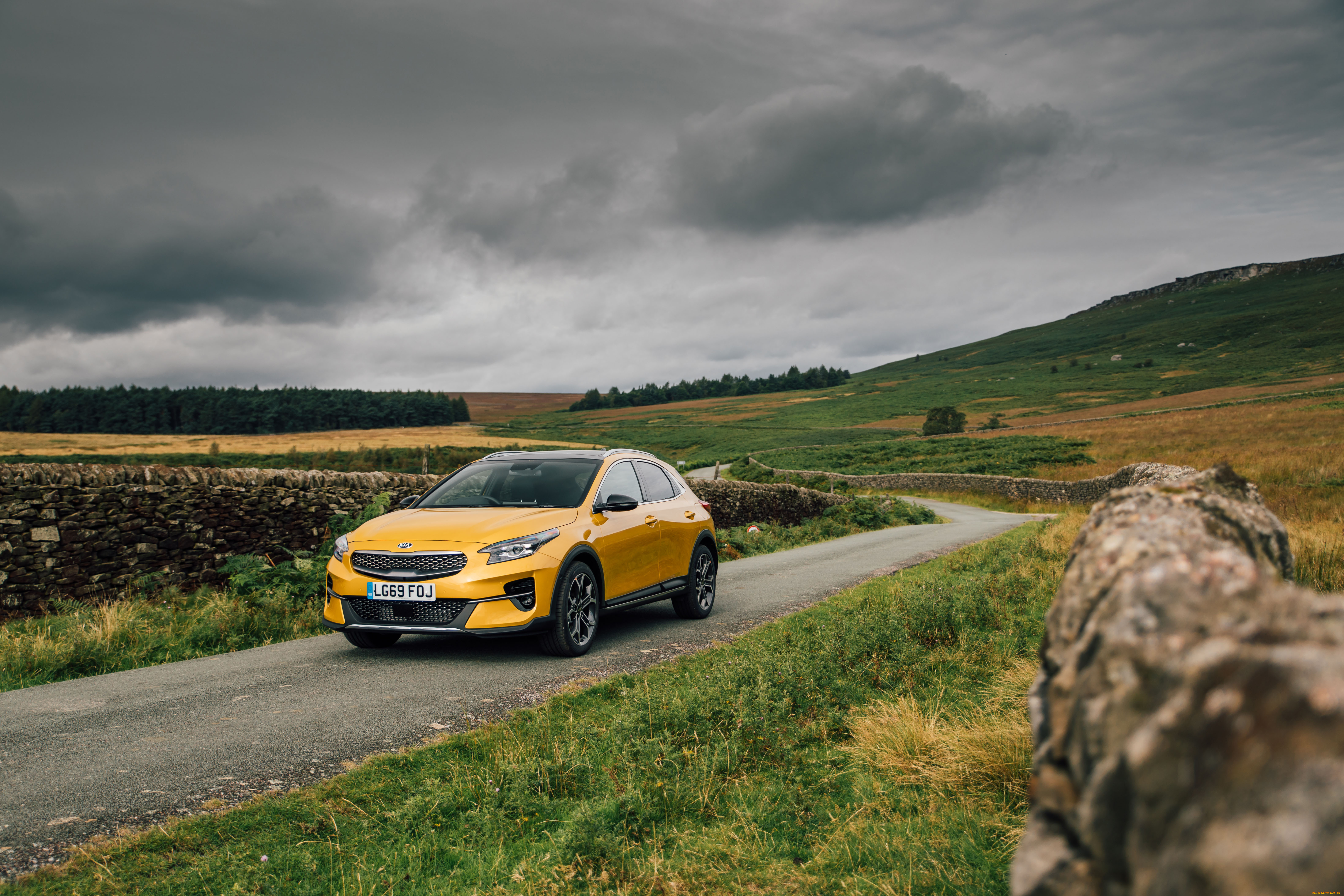 автомобили, kia