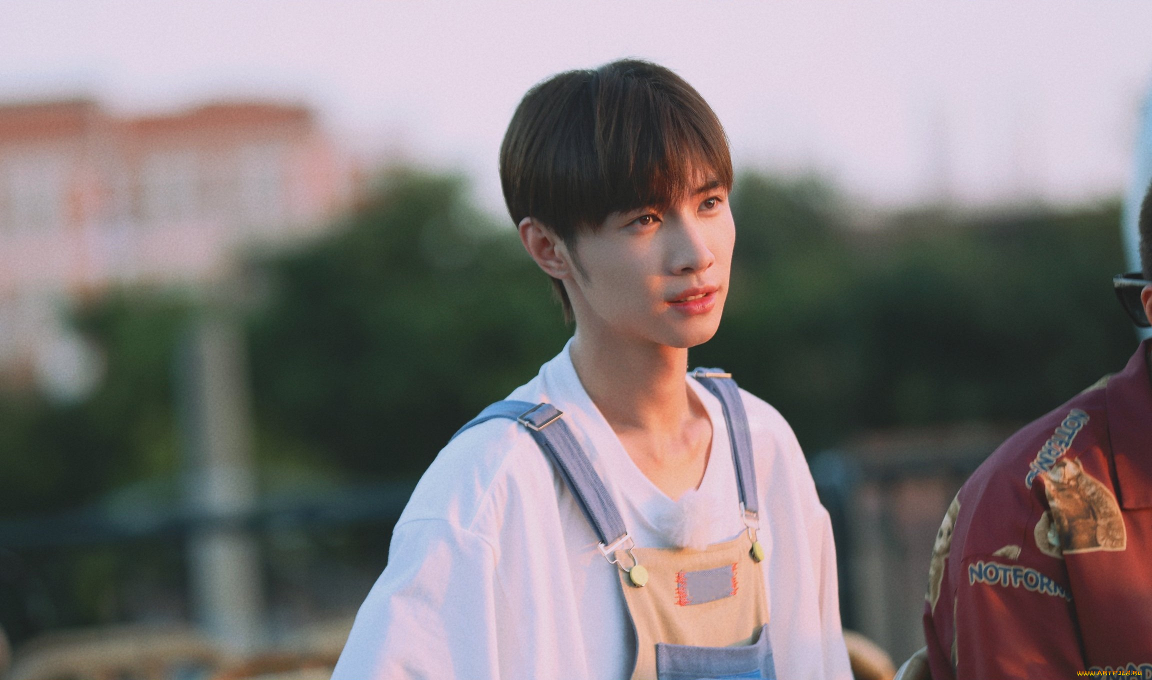 мужчины, song, ji, yang, сун, цзиян, китайский, актёр, певец