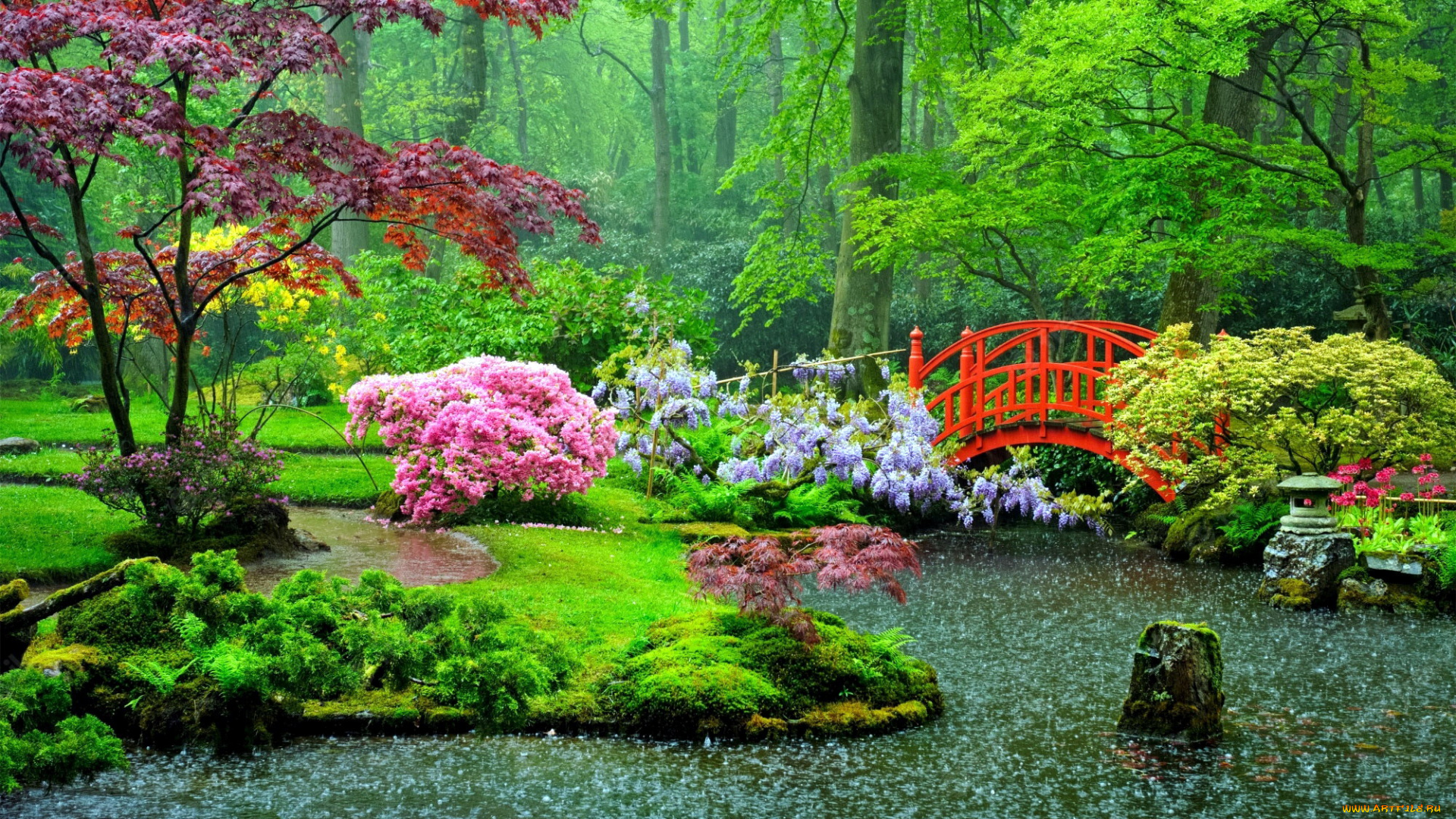 clingendael, park, netherlands, природа, парк, clingendael, park