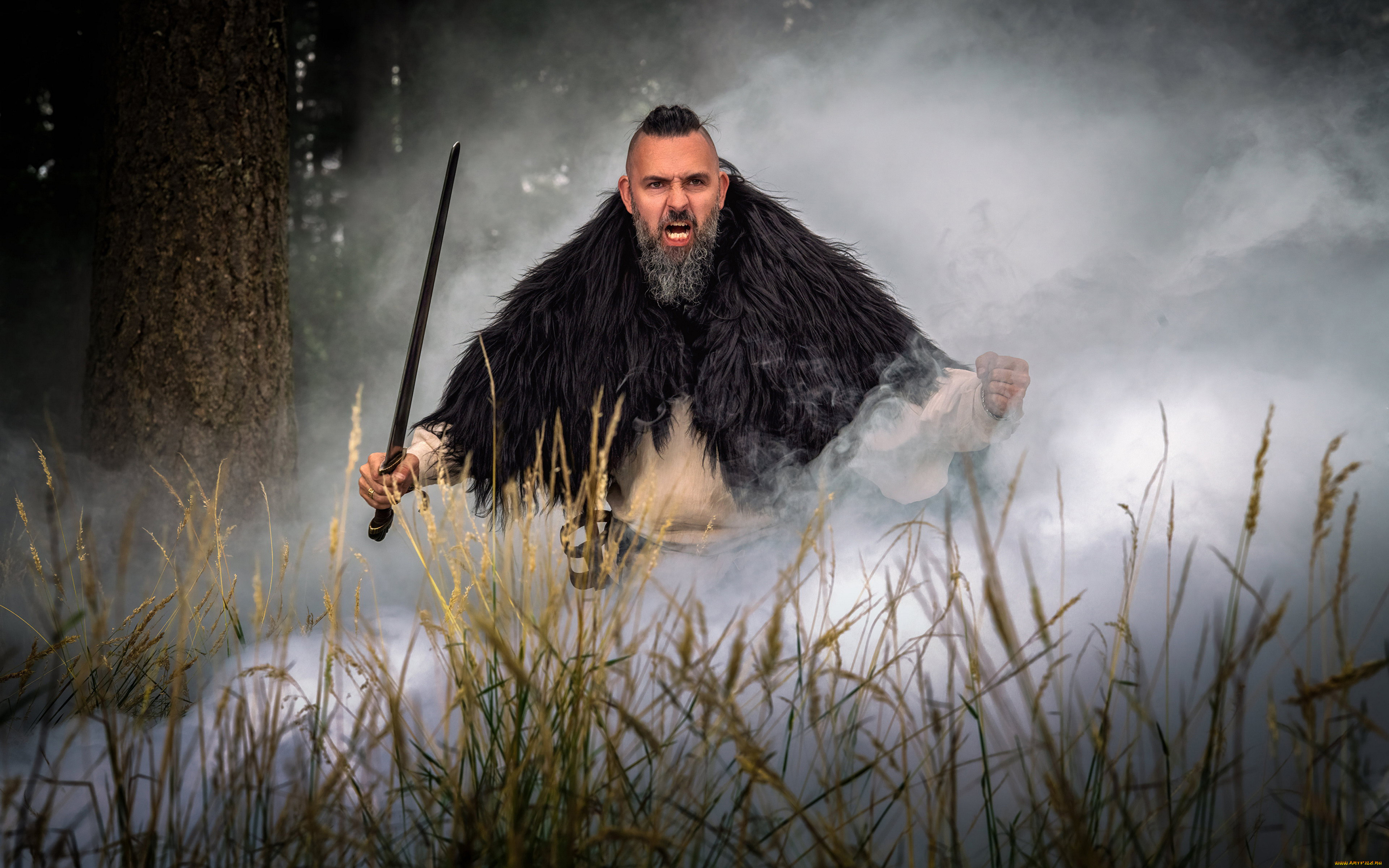 мужчины, -, креатив, , косплей, туман, борода, меч