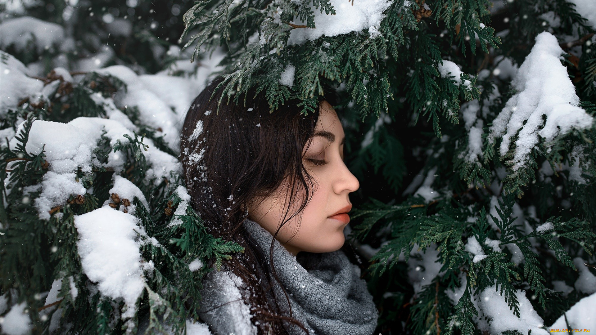 девушки, -, брюнетки, , шатенки, дмитрий, бегма, снег, зима, холод, деревья, на, улице, женщины, лицо, закрытые, глаза, профиль, модель, крупным, планом